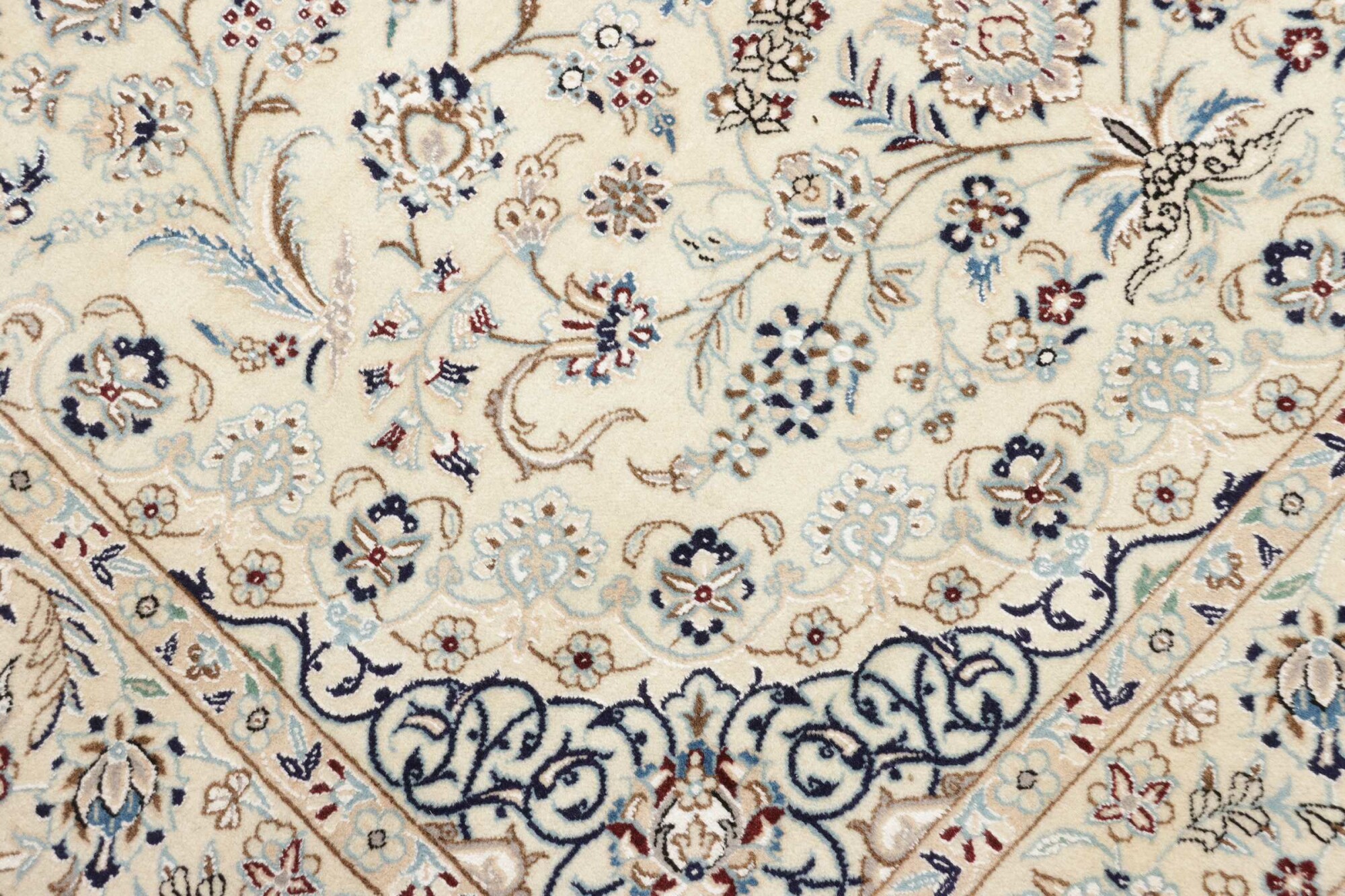 Nain 9L 242X154 Cm - Image 6
