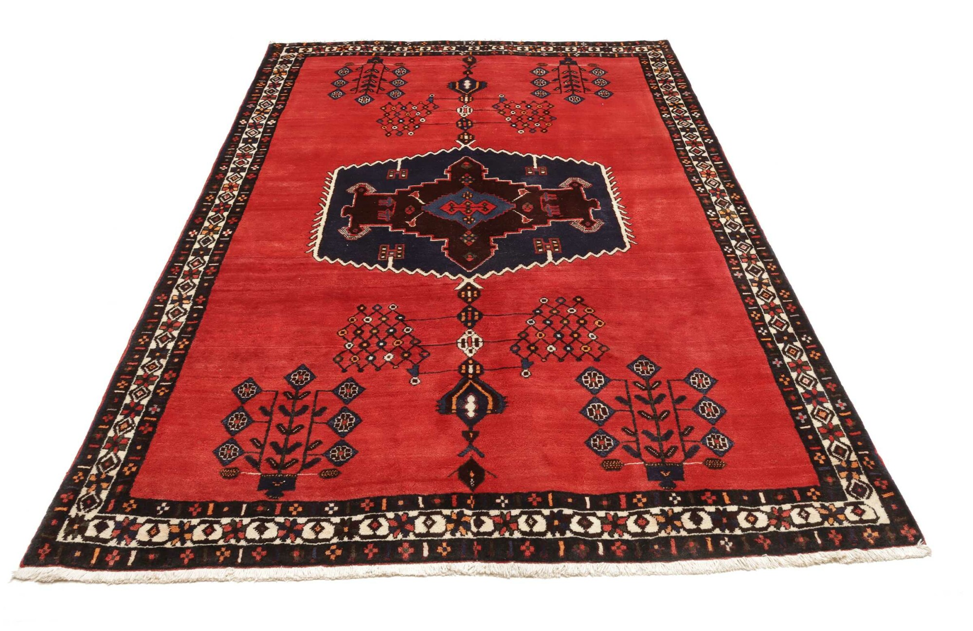 Shiraz 253X166 Cm - Image 4
