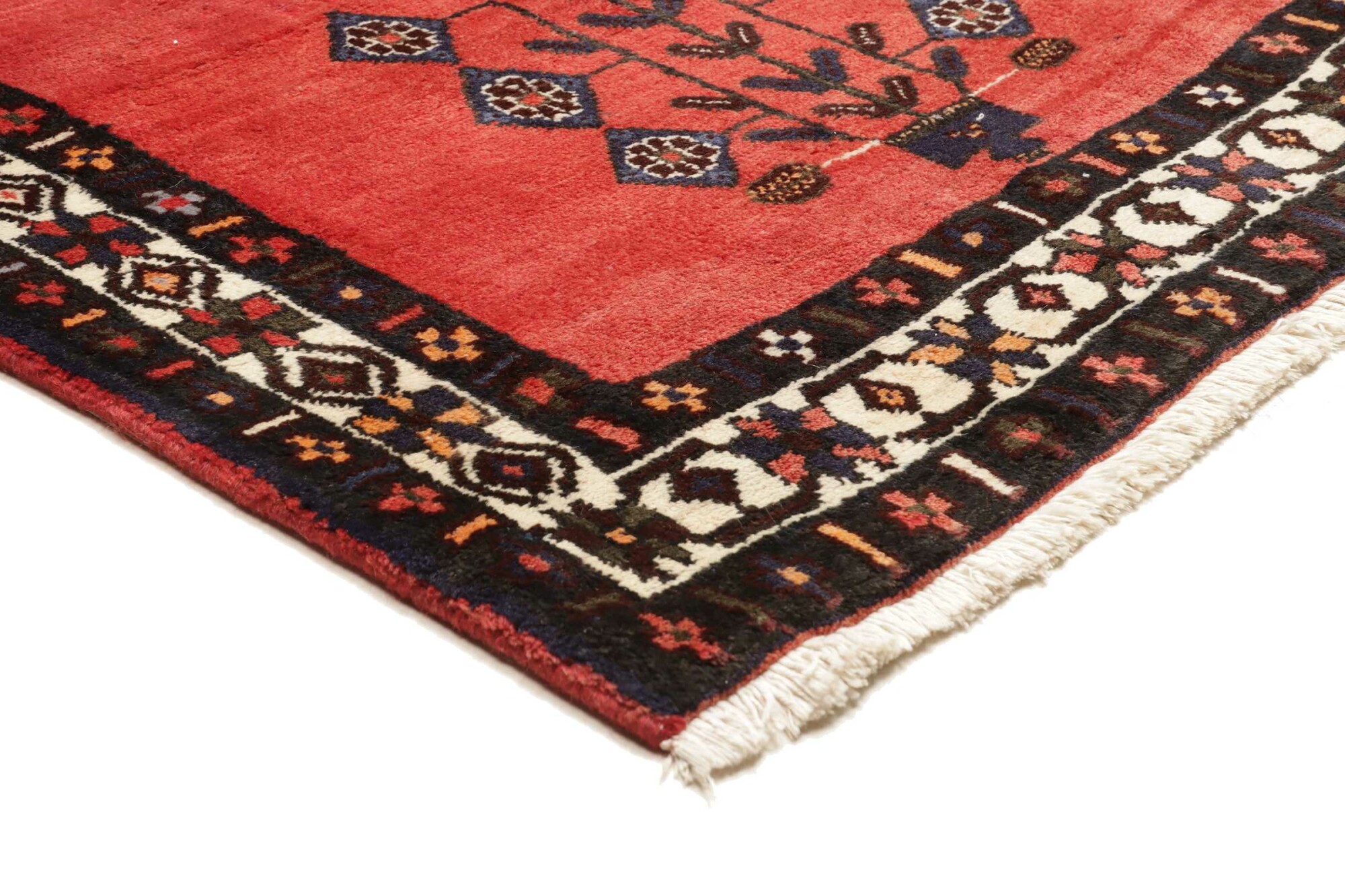 Shiraz 253X166 Cm - Image 5