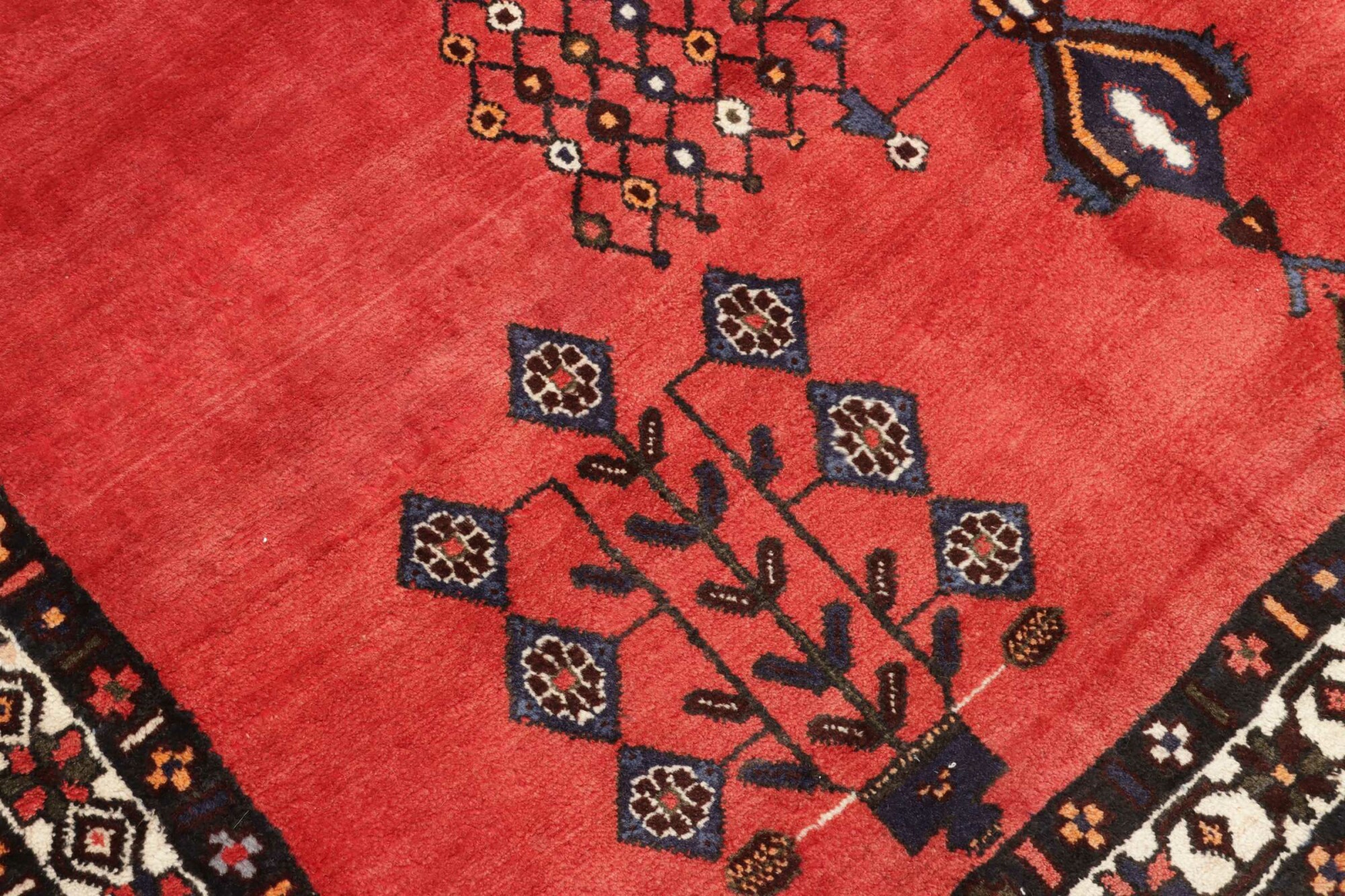 Shiraz 253X166 Cm - Image 6