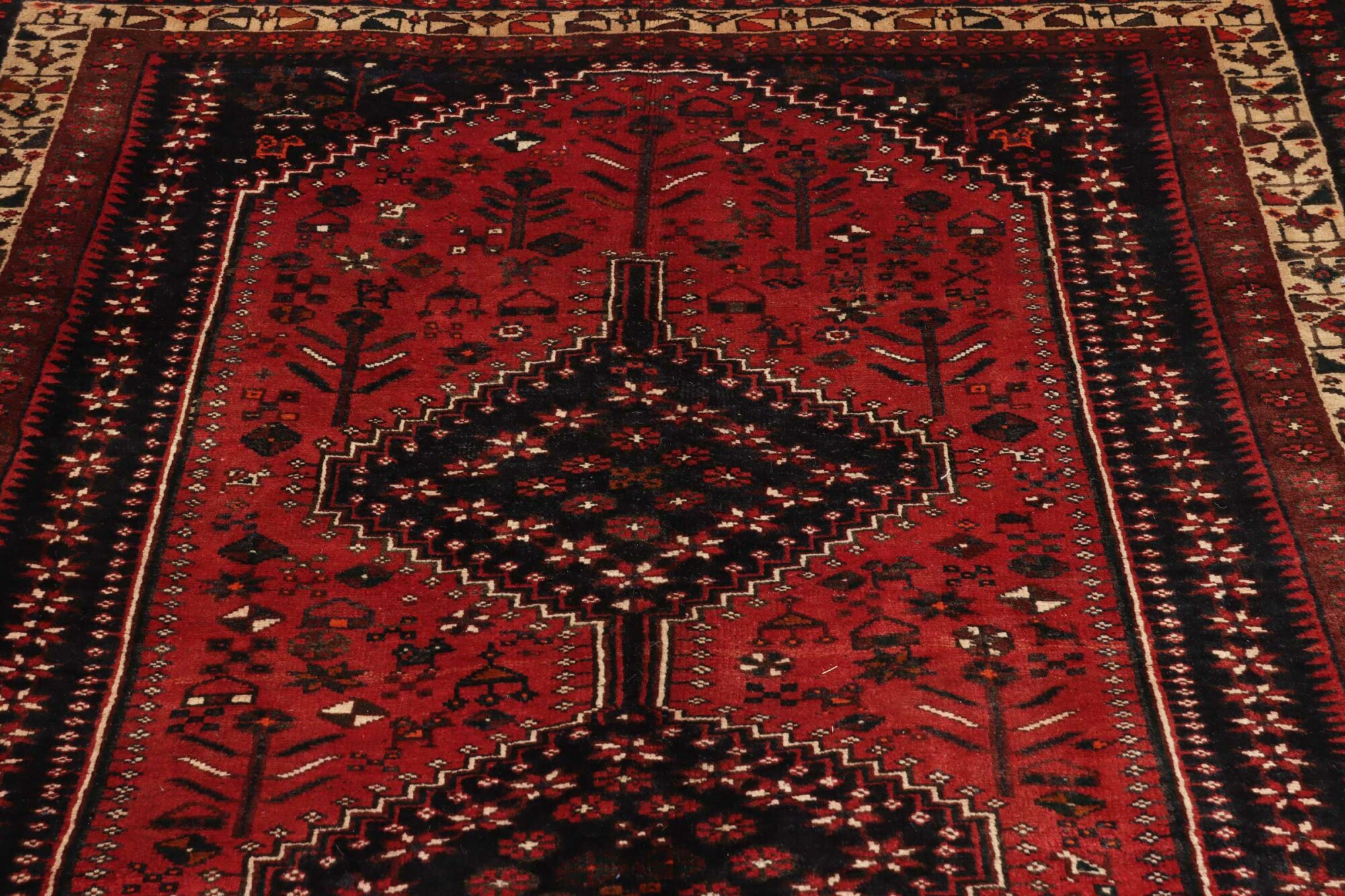 Shiraz 202X158 Cm - Image 8