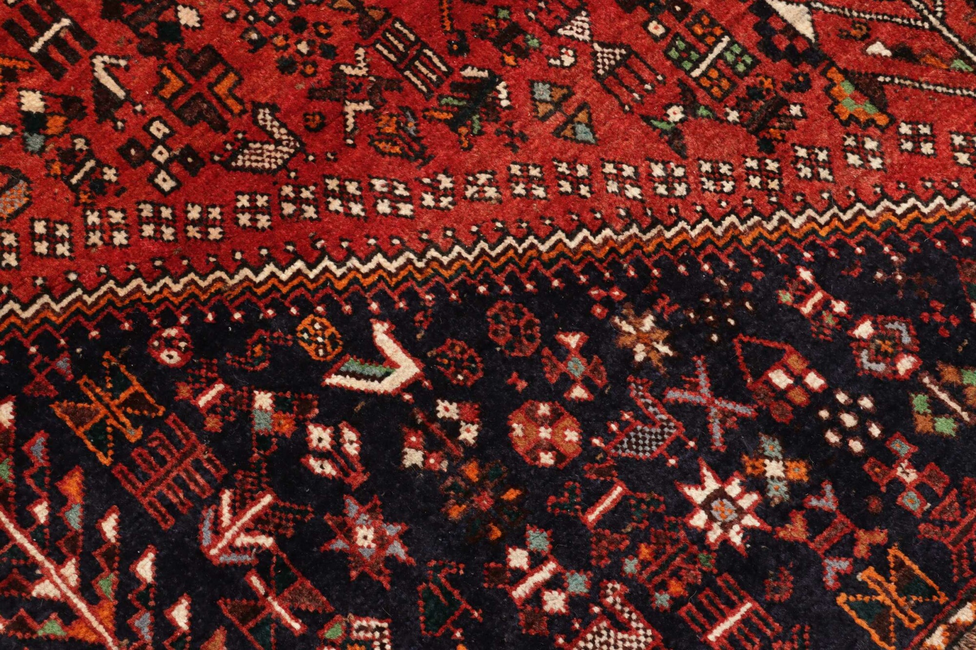 Shiraz 273X156 Cm - Image 6