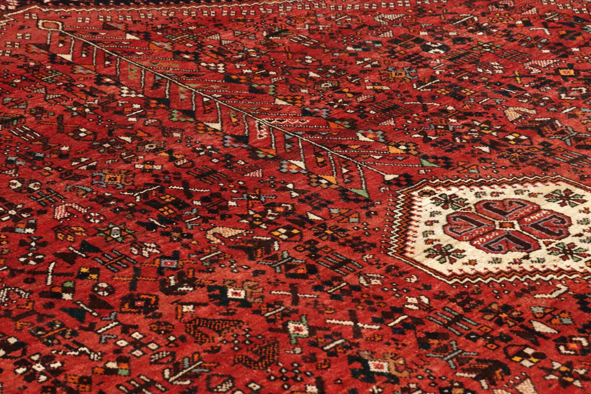 Shiraz 273X156 Cm - Image 7