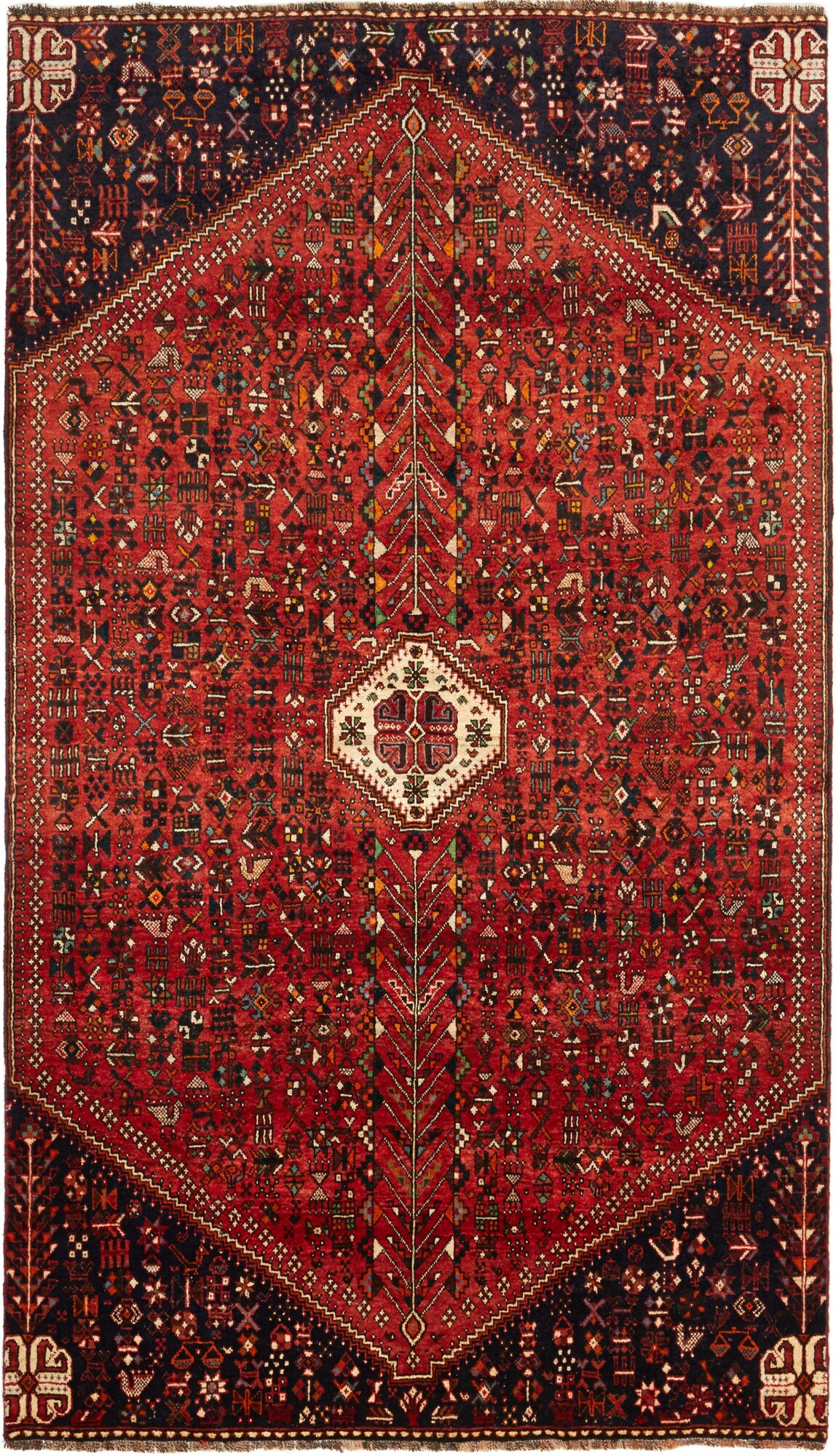 Shiraz 273X156 Cm