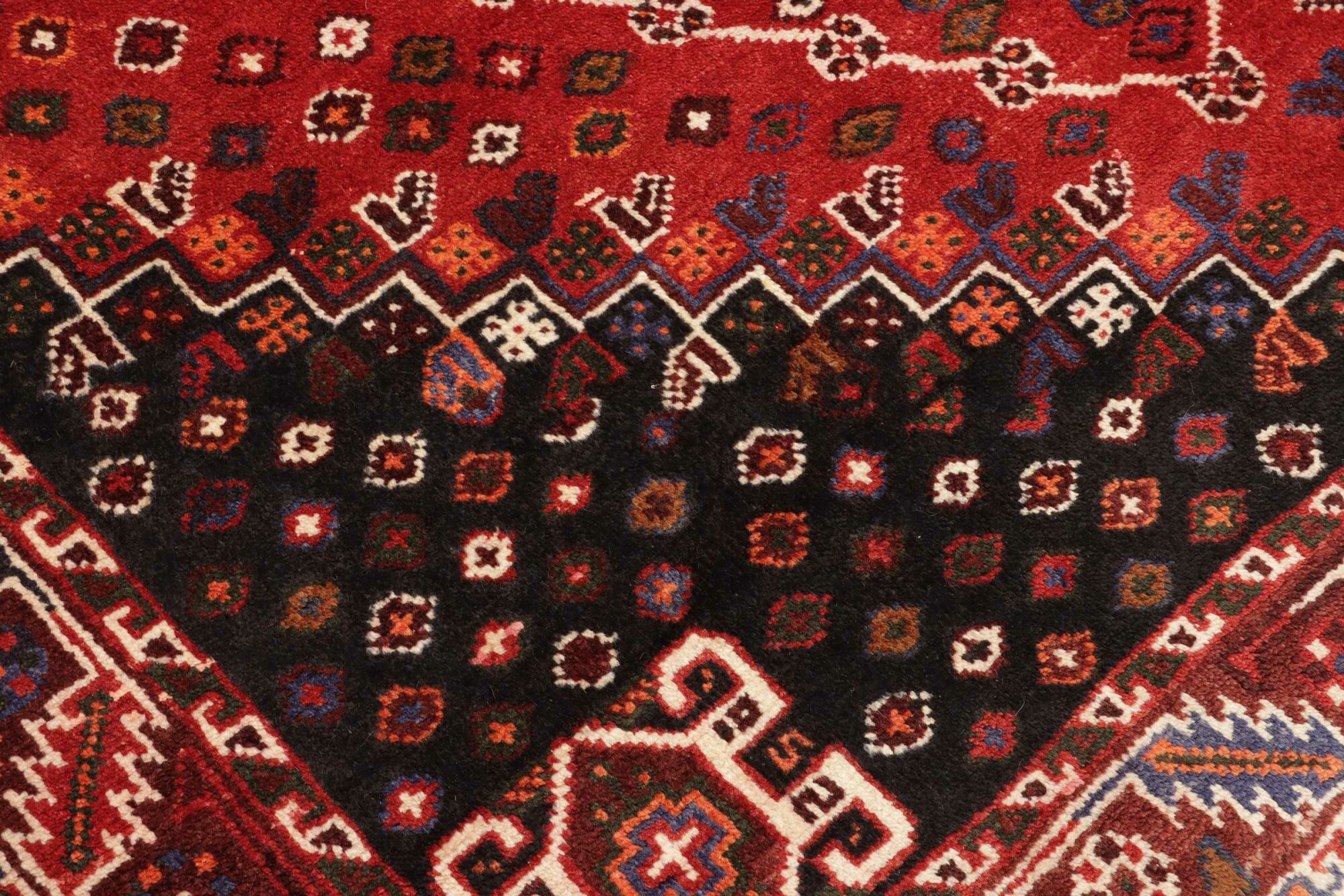 Shiraz 240X163 Cm - Image 6
