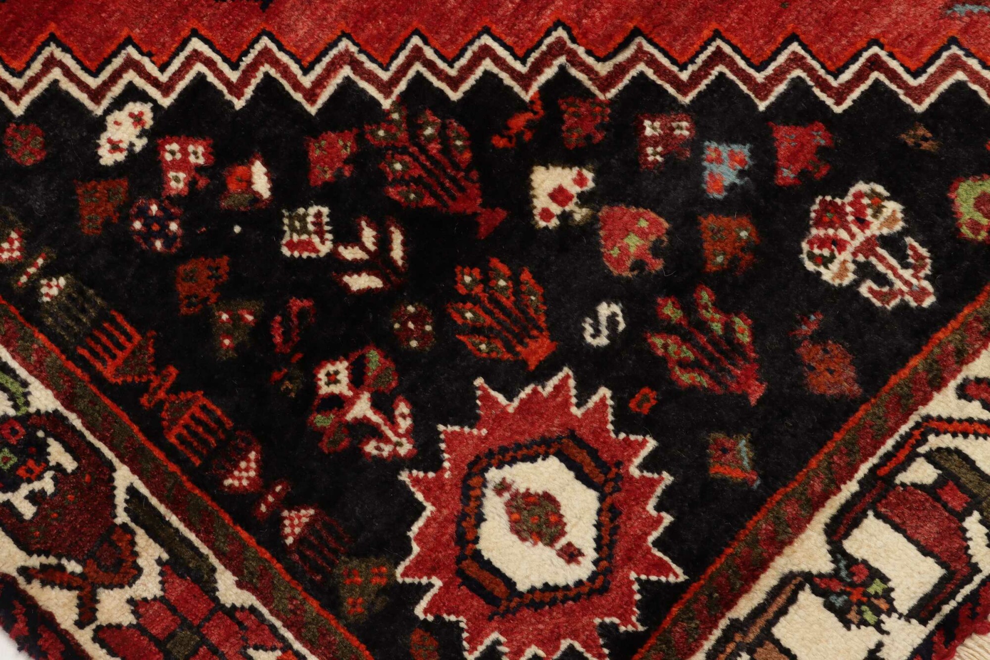 Shiraz 253X163 Cm - Image 6