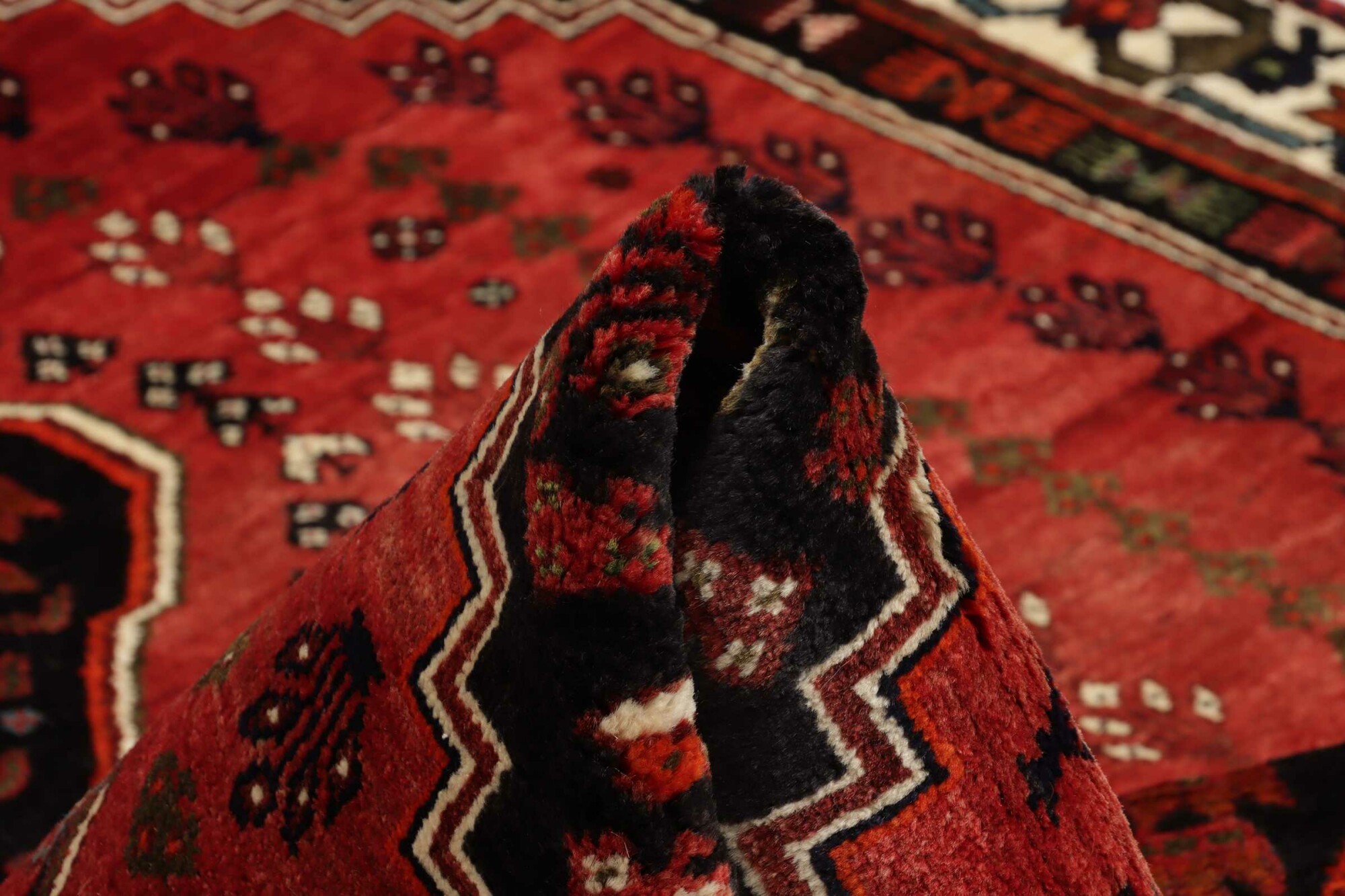Shiraz 253X163 Cm - Image 8