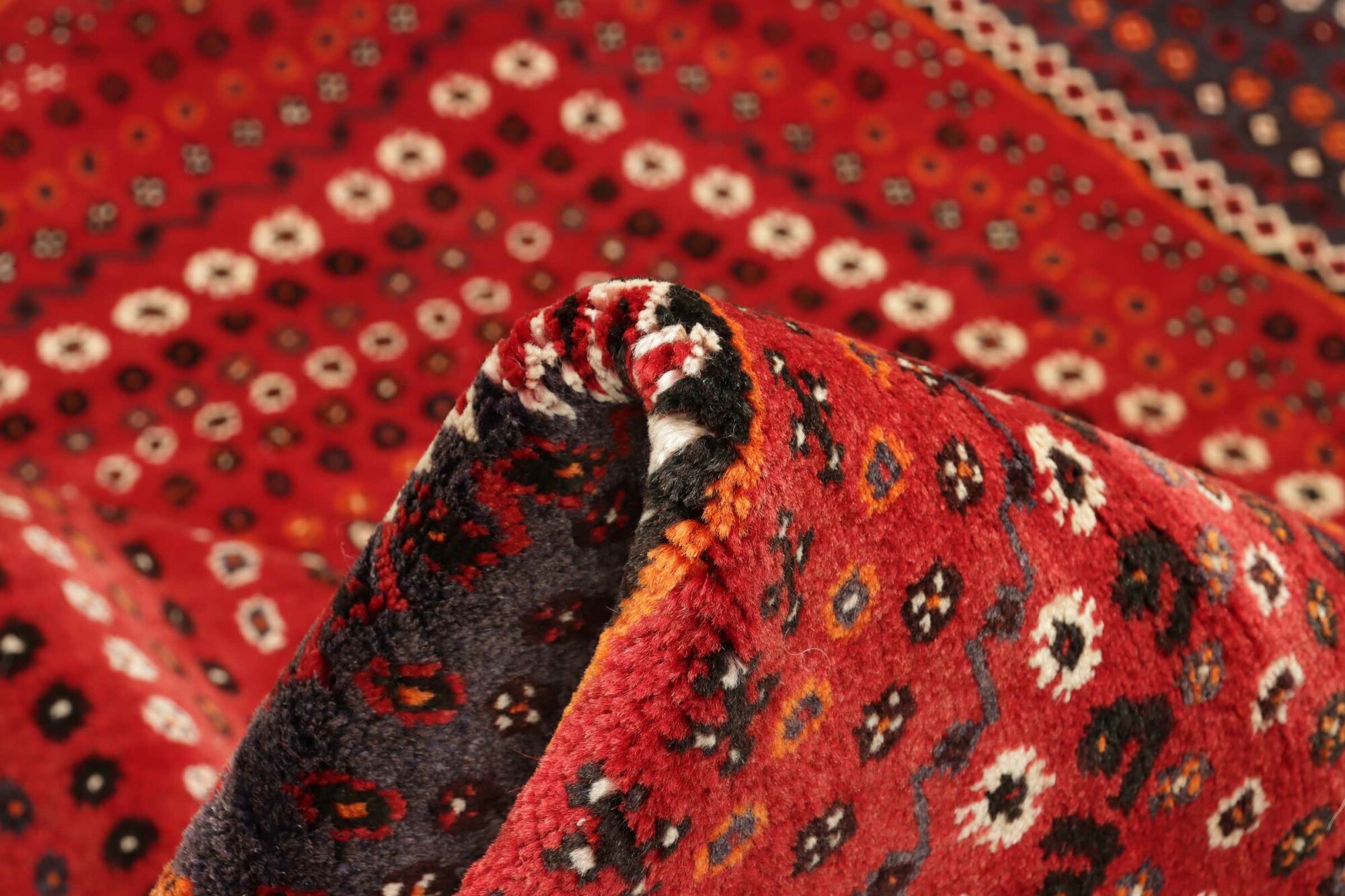 Shiraz 260X180 Cm - Image 8