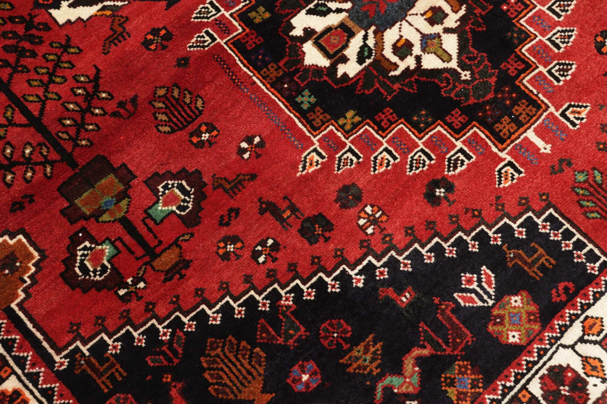 Shiraz 259X173 Cm - Image 6