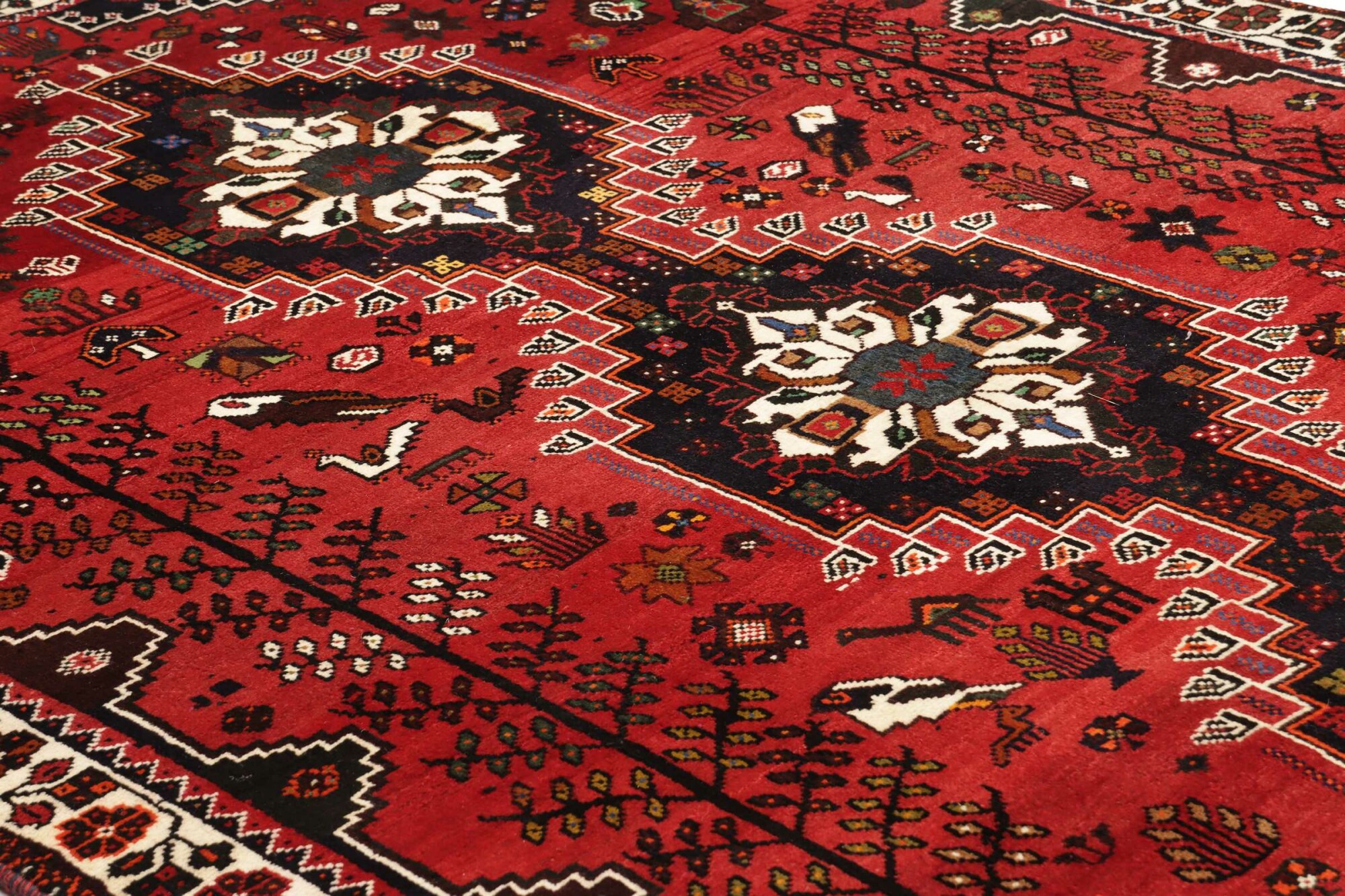 Shiraz 259X173 Cm - Image 7