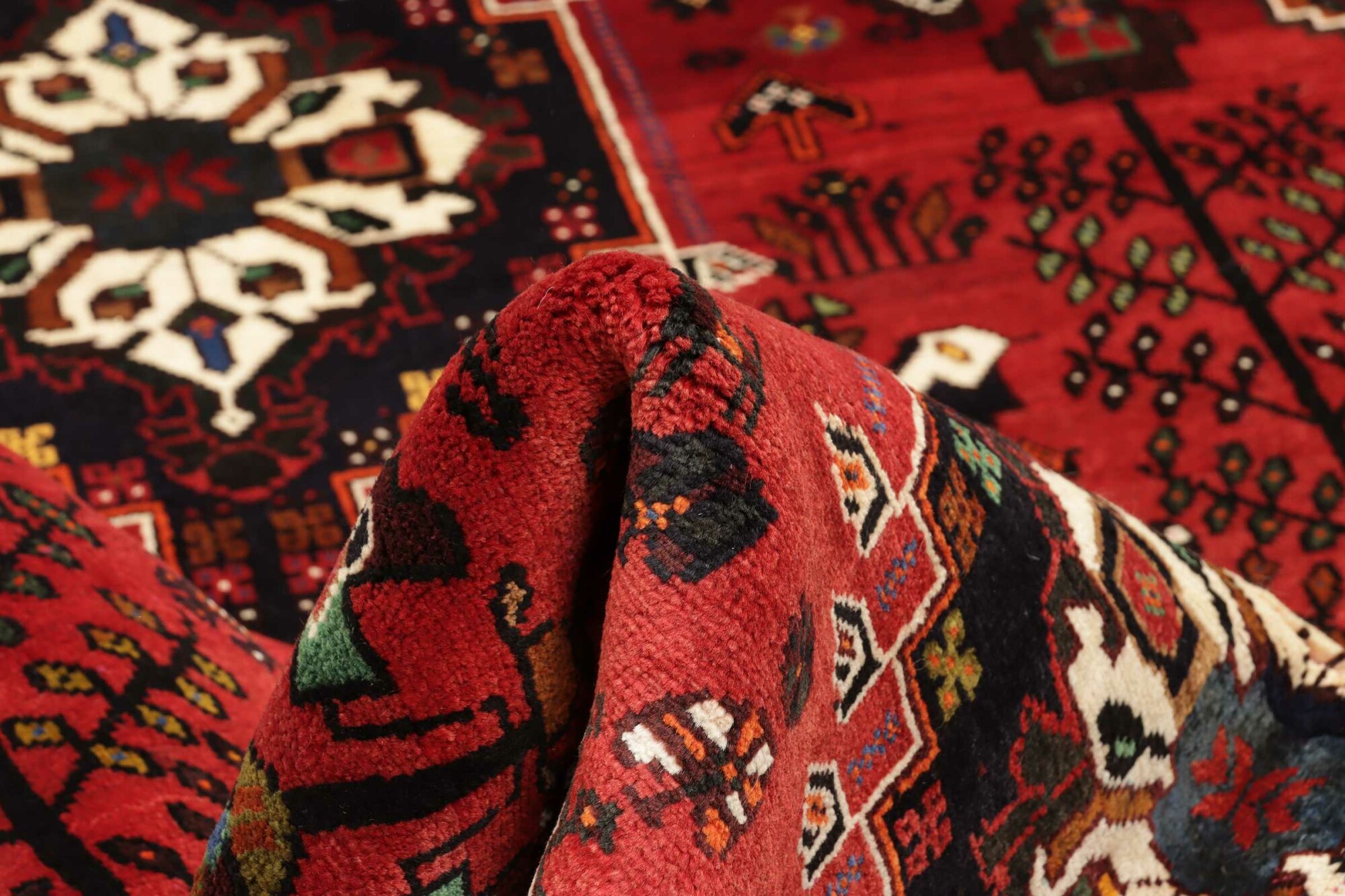Shiraz 259X173 Cm - Image 8