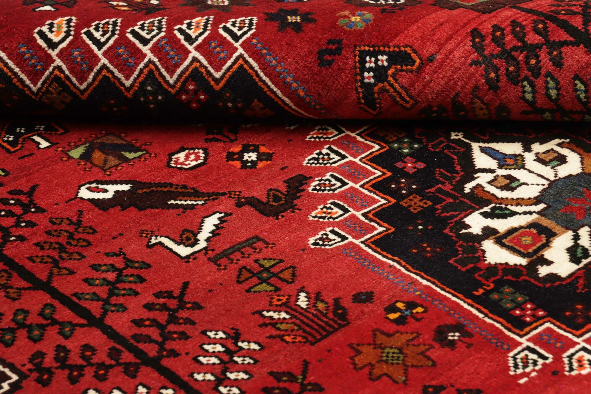 Shiraz 259X173 Cm - Image 9