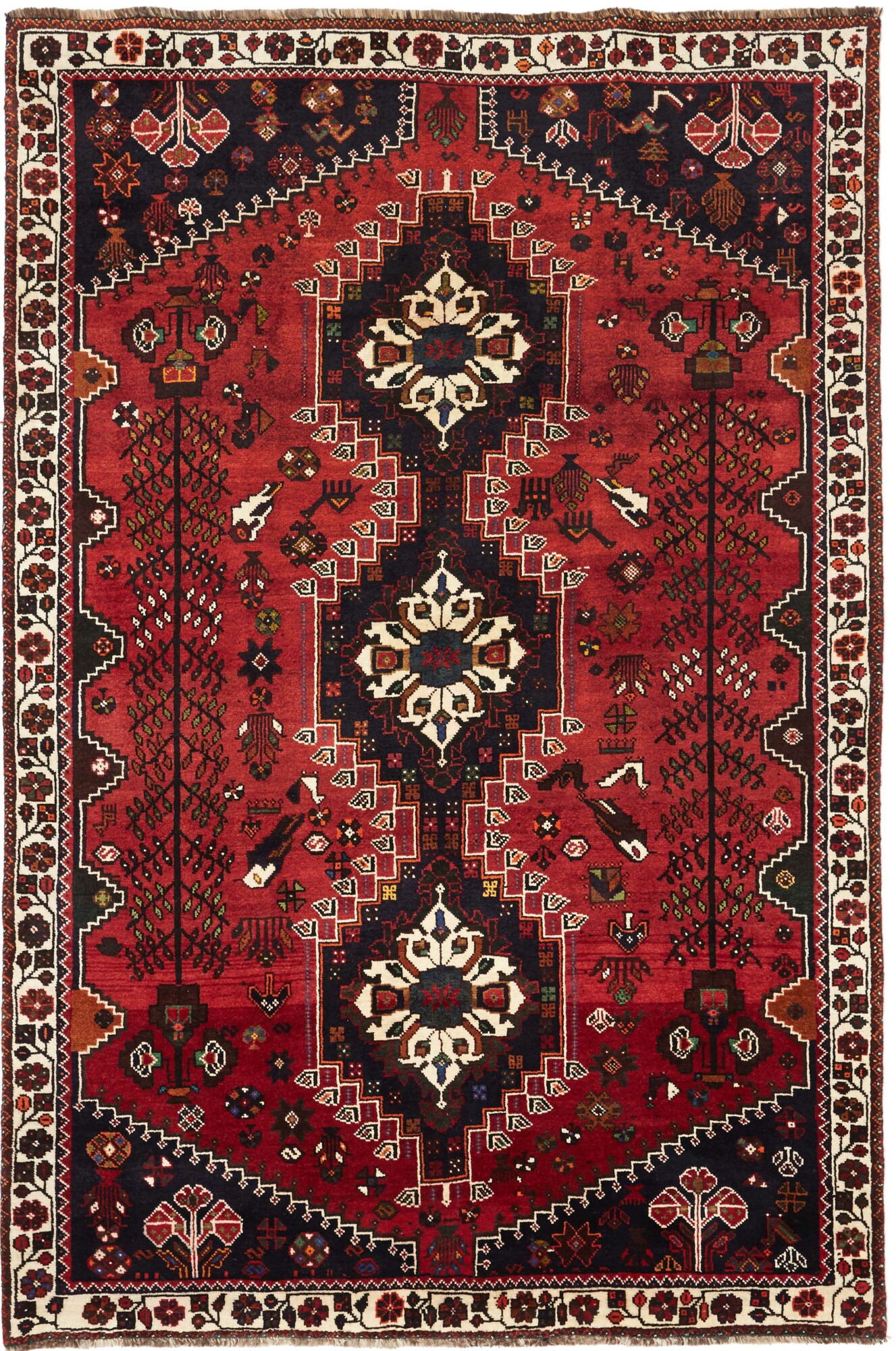 Shiraz 259X173 Cm