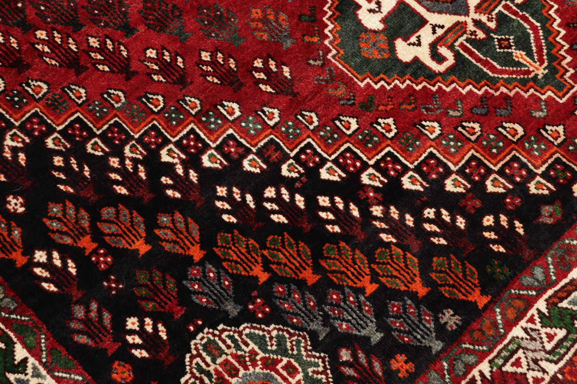 Shiraz 273X167 Cm - Image 6