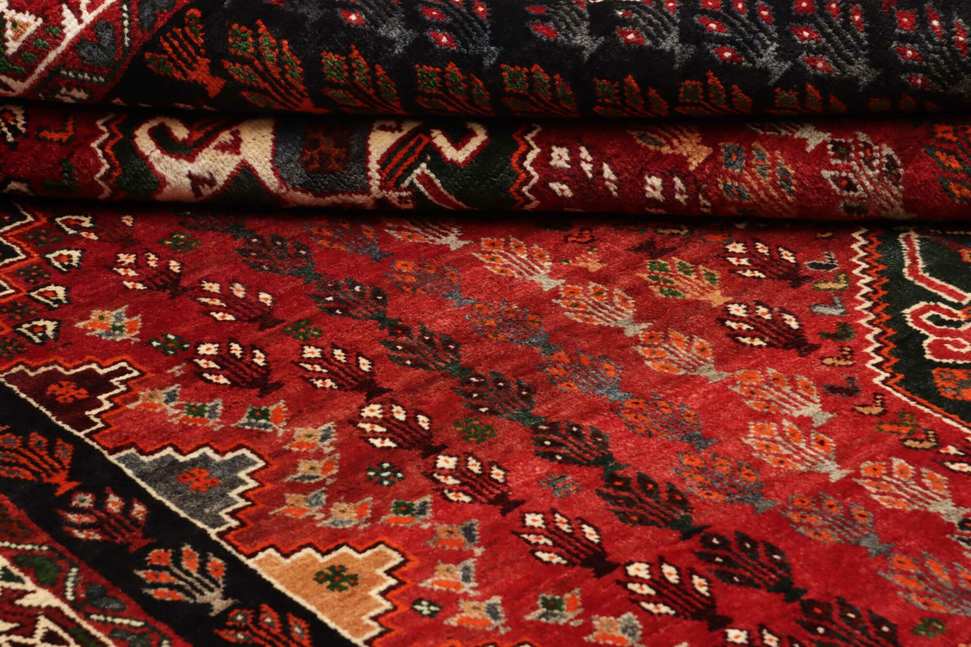 Shiraz 273X167 Cm - Image 9