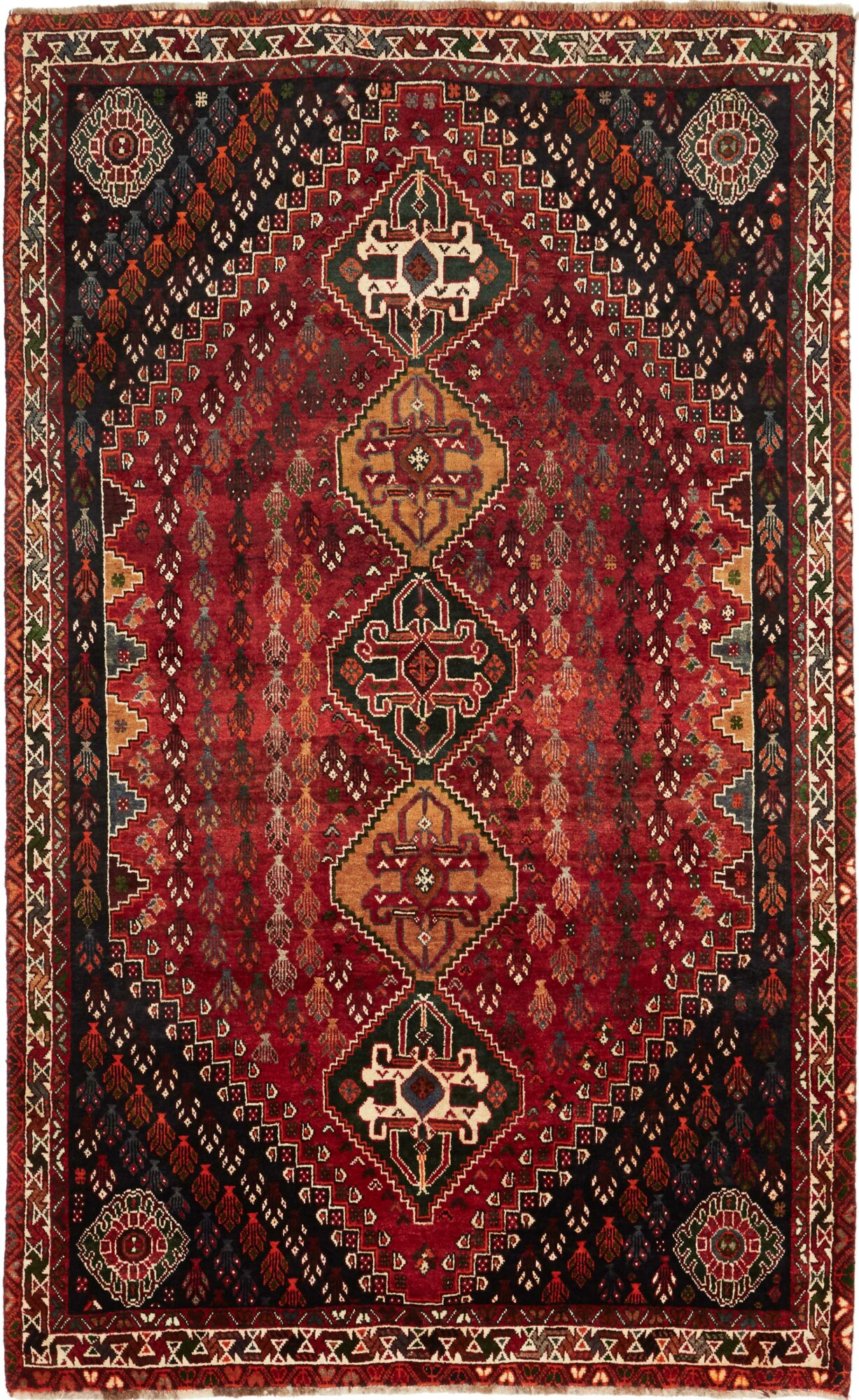 Shiraz 273X167 Cm