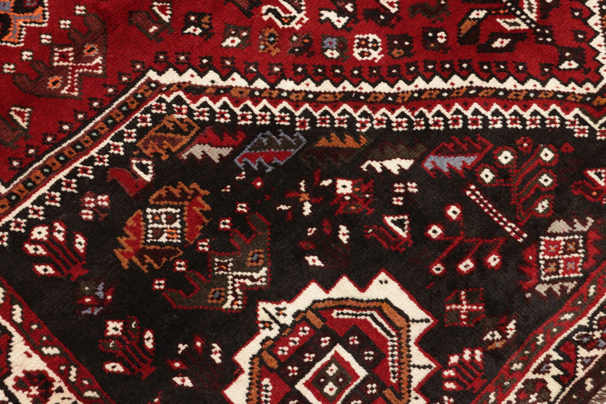 Shiraz 261X167 Cm - Image 6
