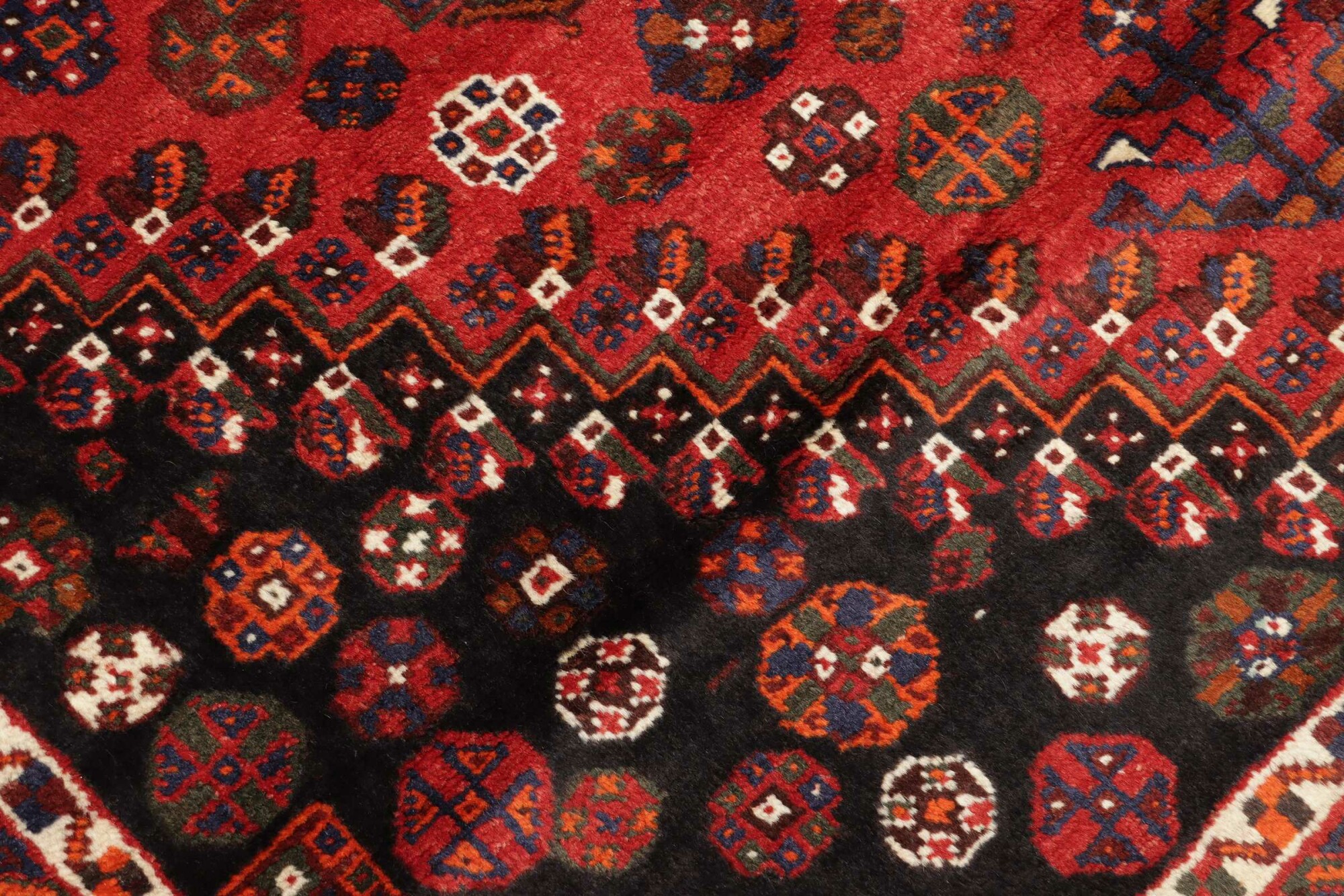 Shiraz 257X165 Cm - Image 6