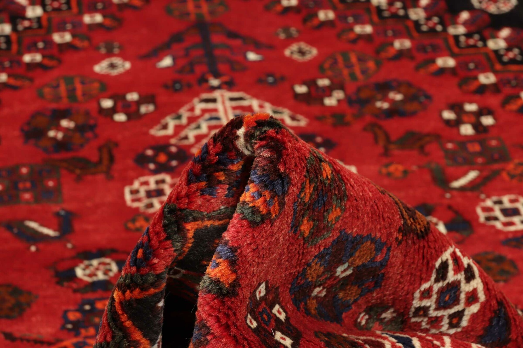 Shiraz 257X165 Cm - Image 8