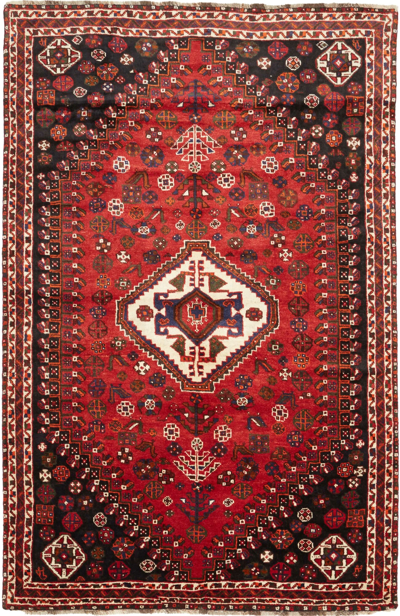 Shiraz 257X165 Cm