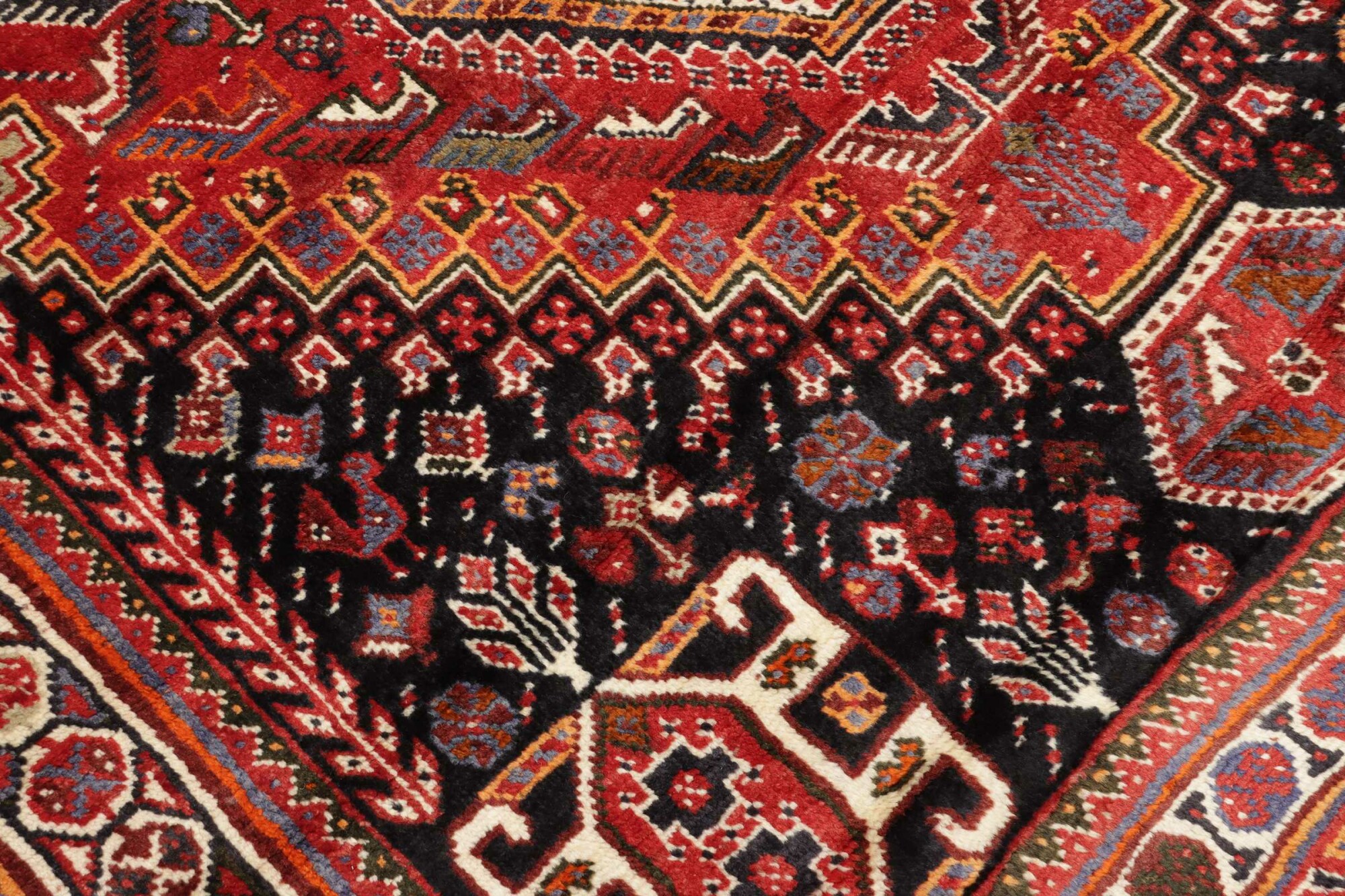 Shiraz 260X170 Cm - Image 6