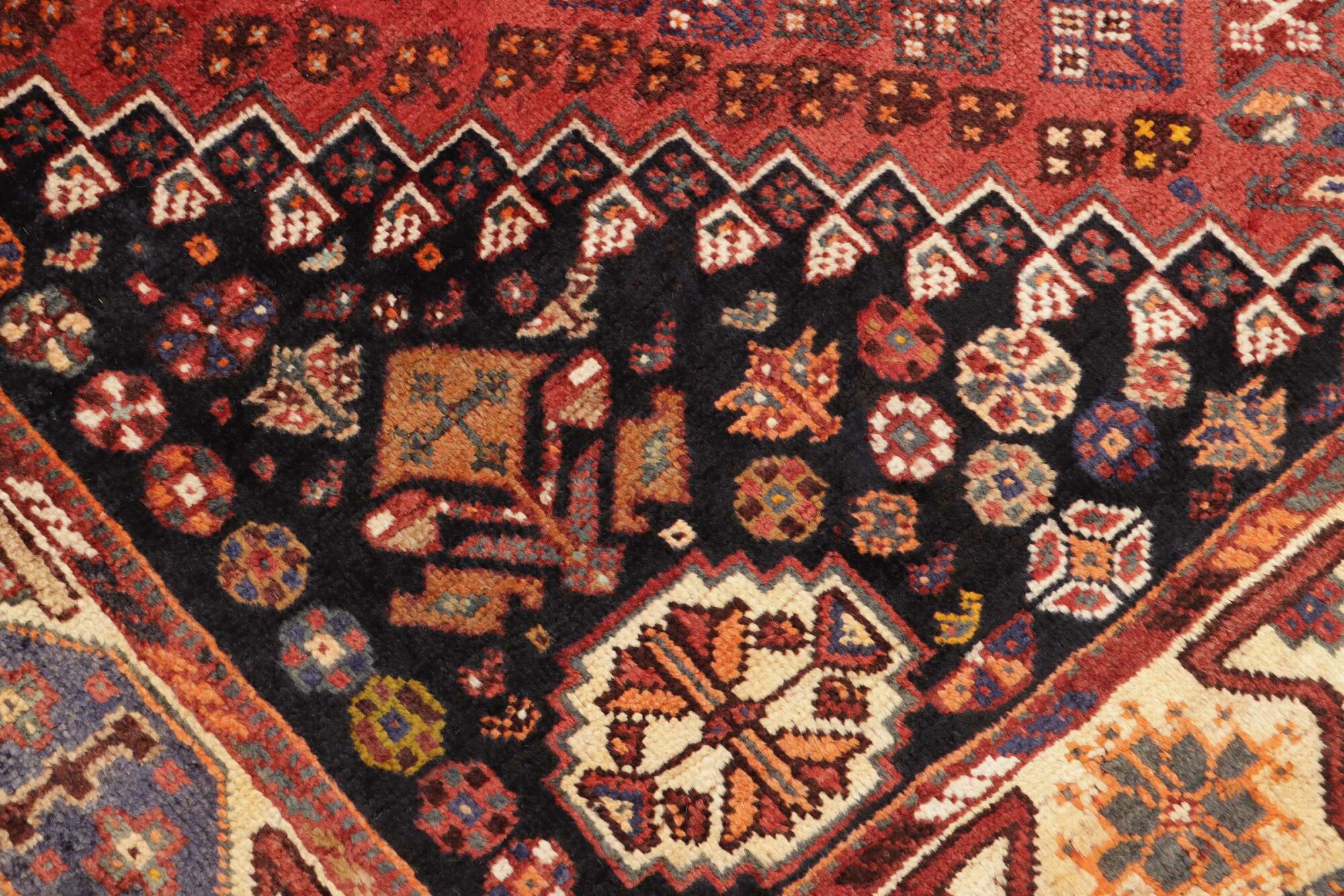 Shiraz 245X178 Cm - Image 6