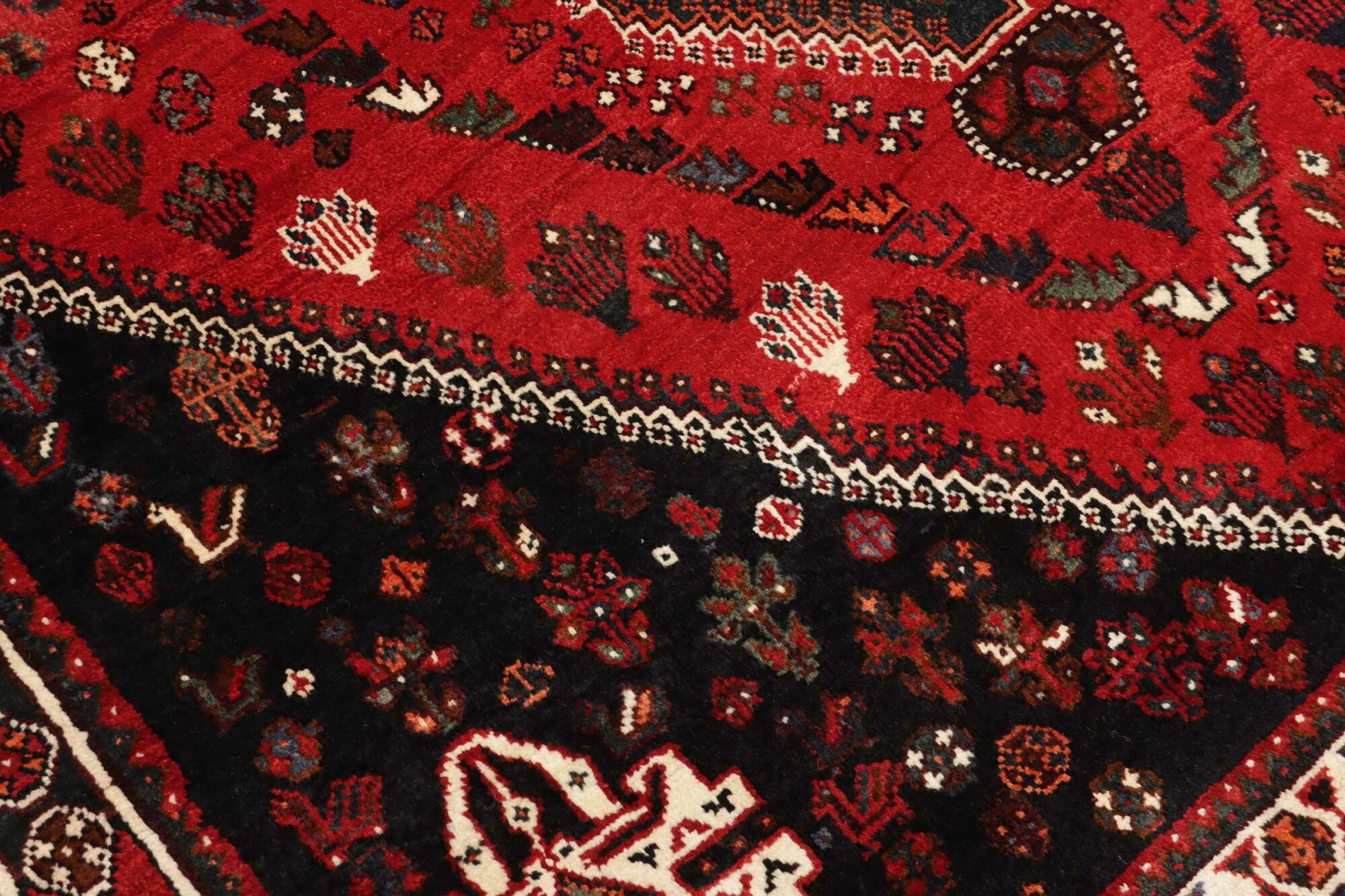 Shiraz 275X163 Cm - Image 6