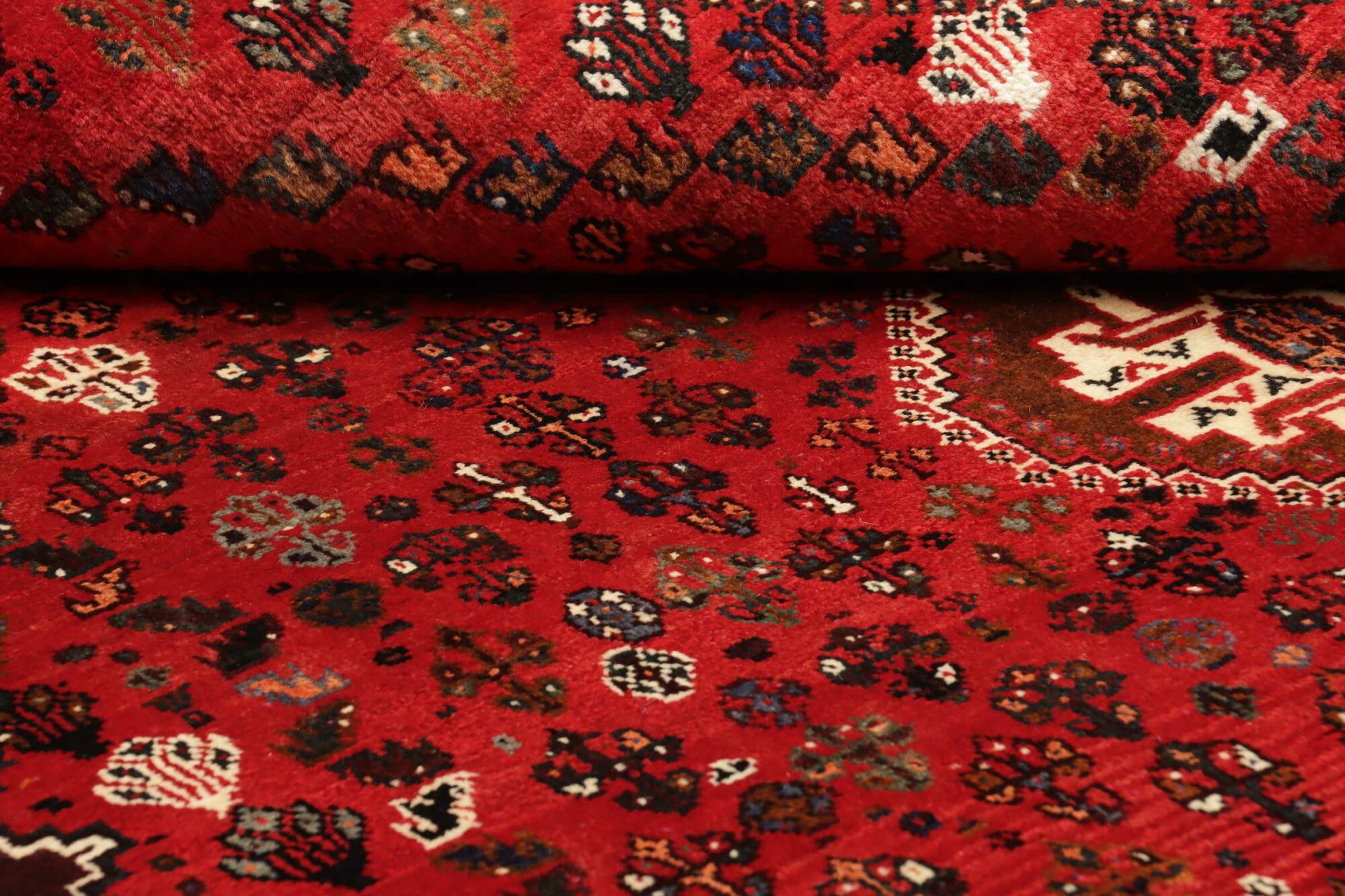 Shiraz 275X163 Cm - Image 9