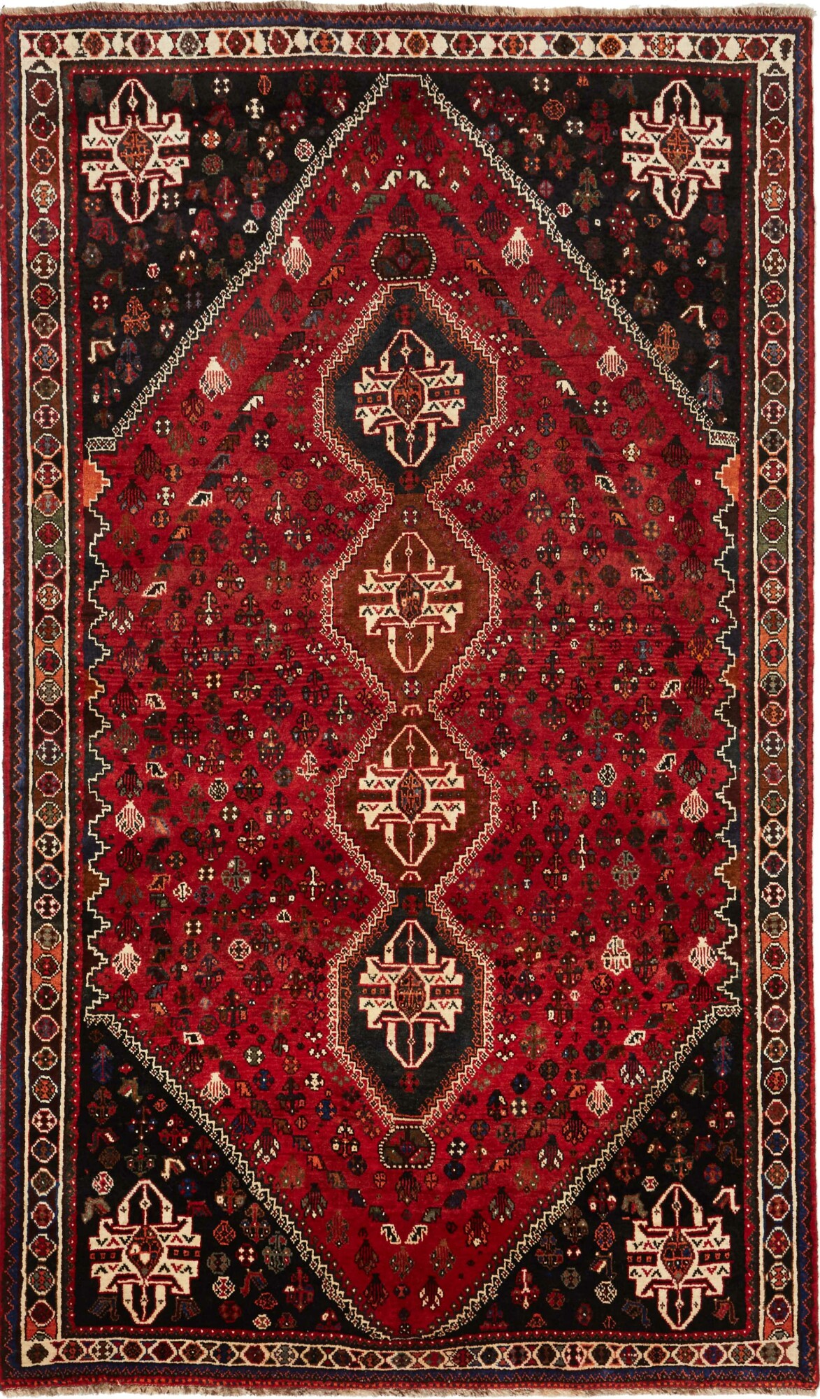 Shiraz 275X163 Cm