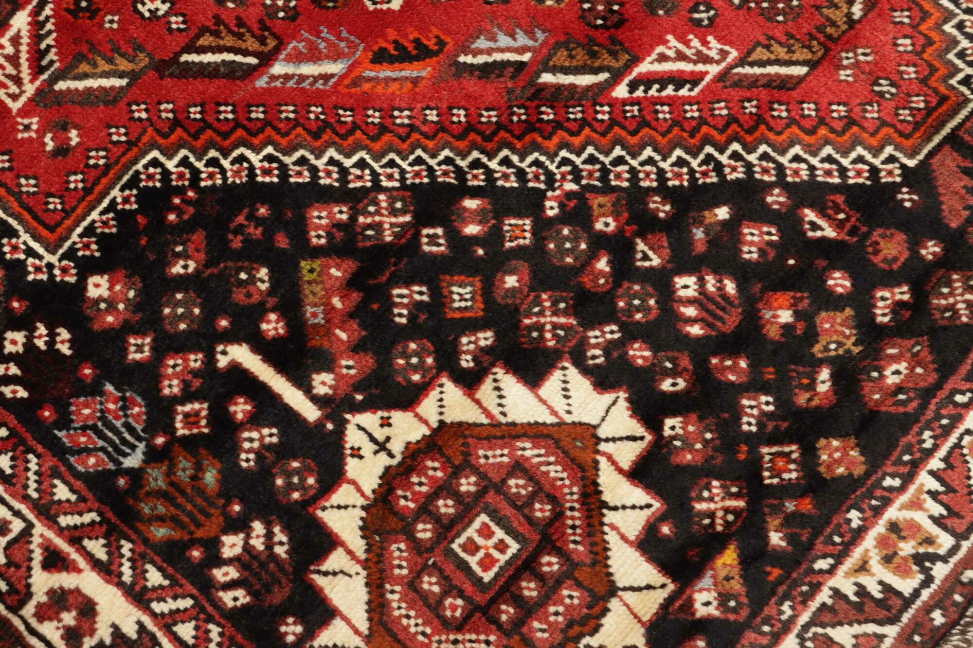 Shiraz 260X173 Cm - Image 6