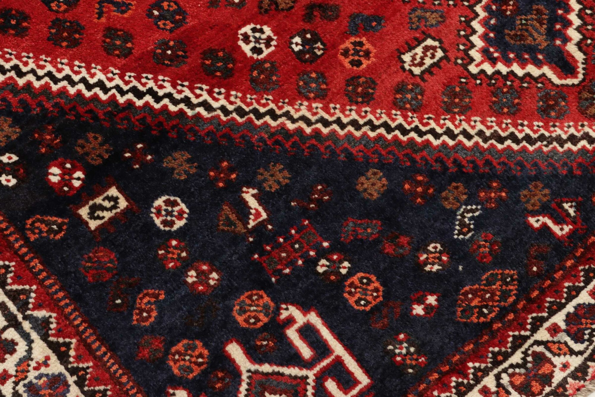 Shiraz 252X164 Cm - Image 6