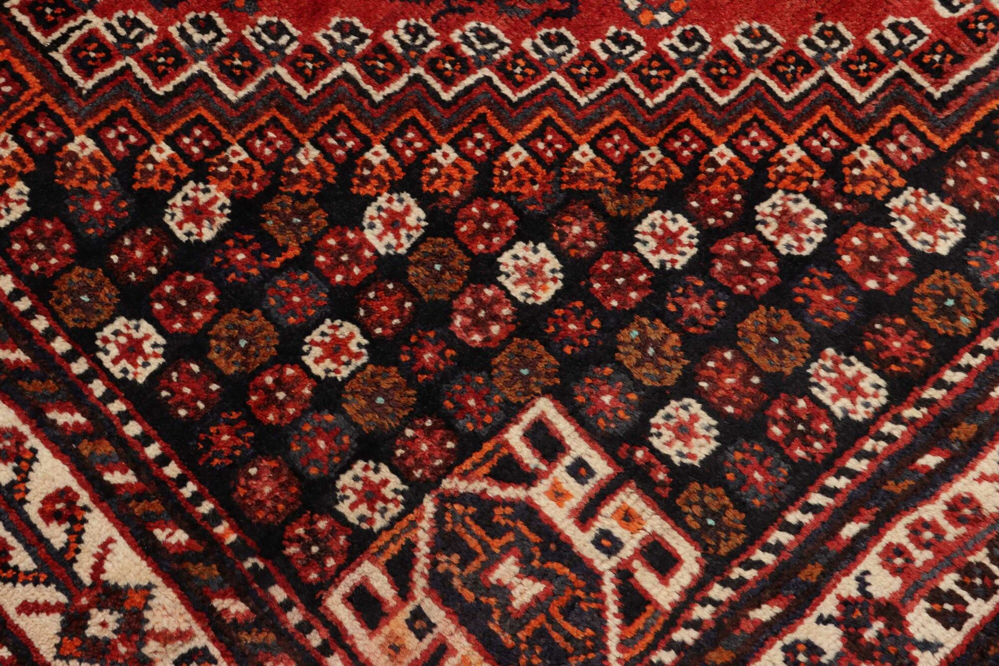 Shiraz 257X165 Cm - Image 6