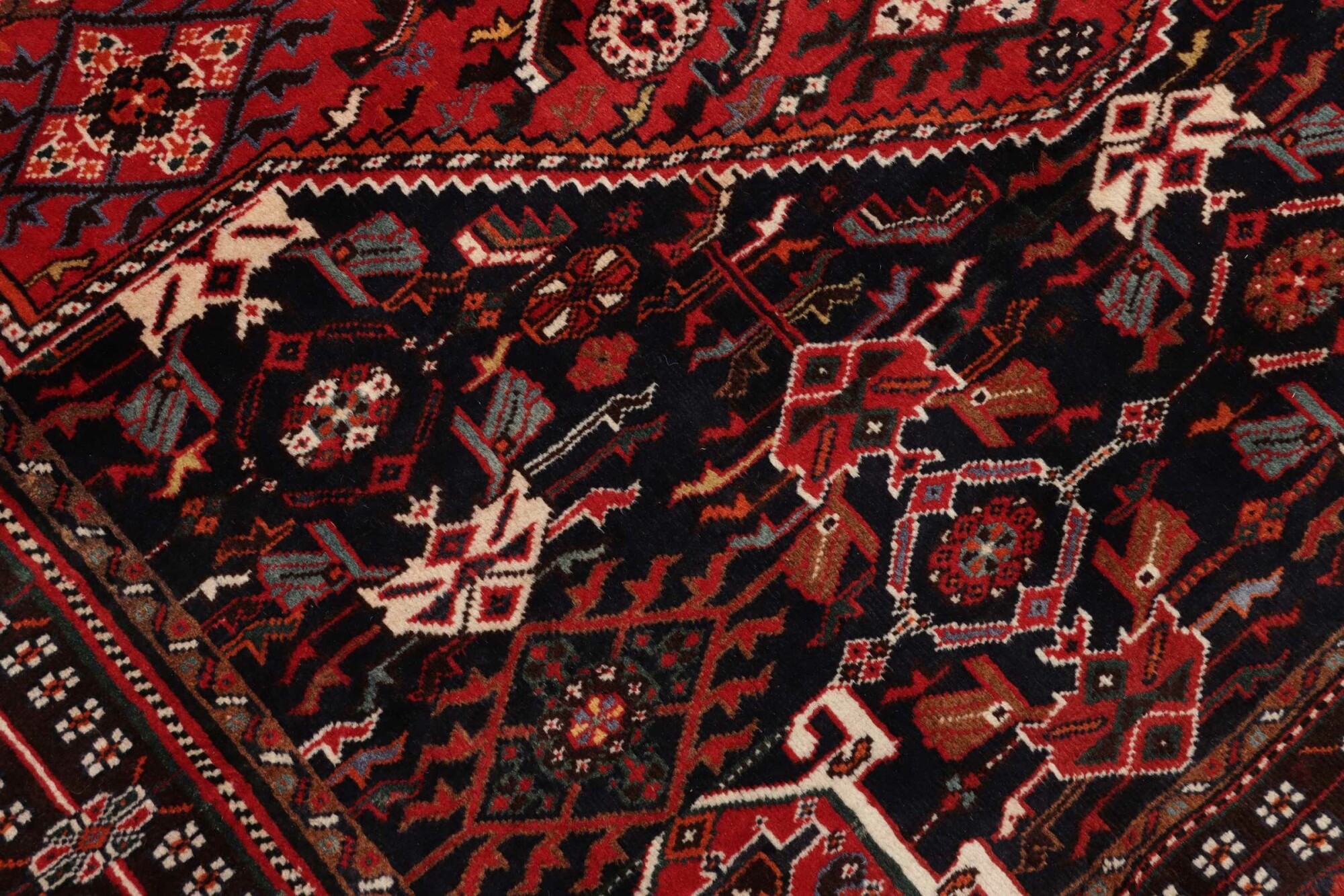 Shiraz 258X163 Cm - Image 6