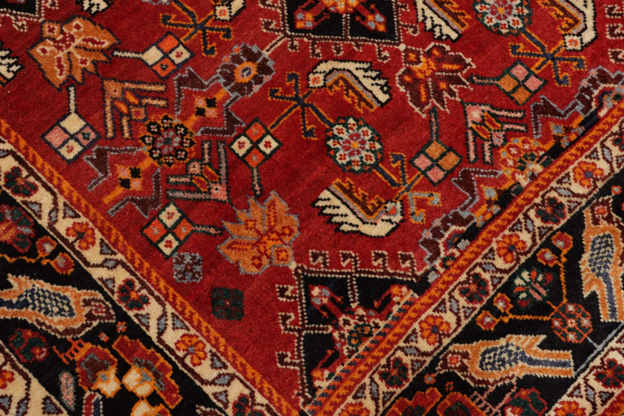 Shiraz 247X168 Cm - Image 6
