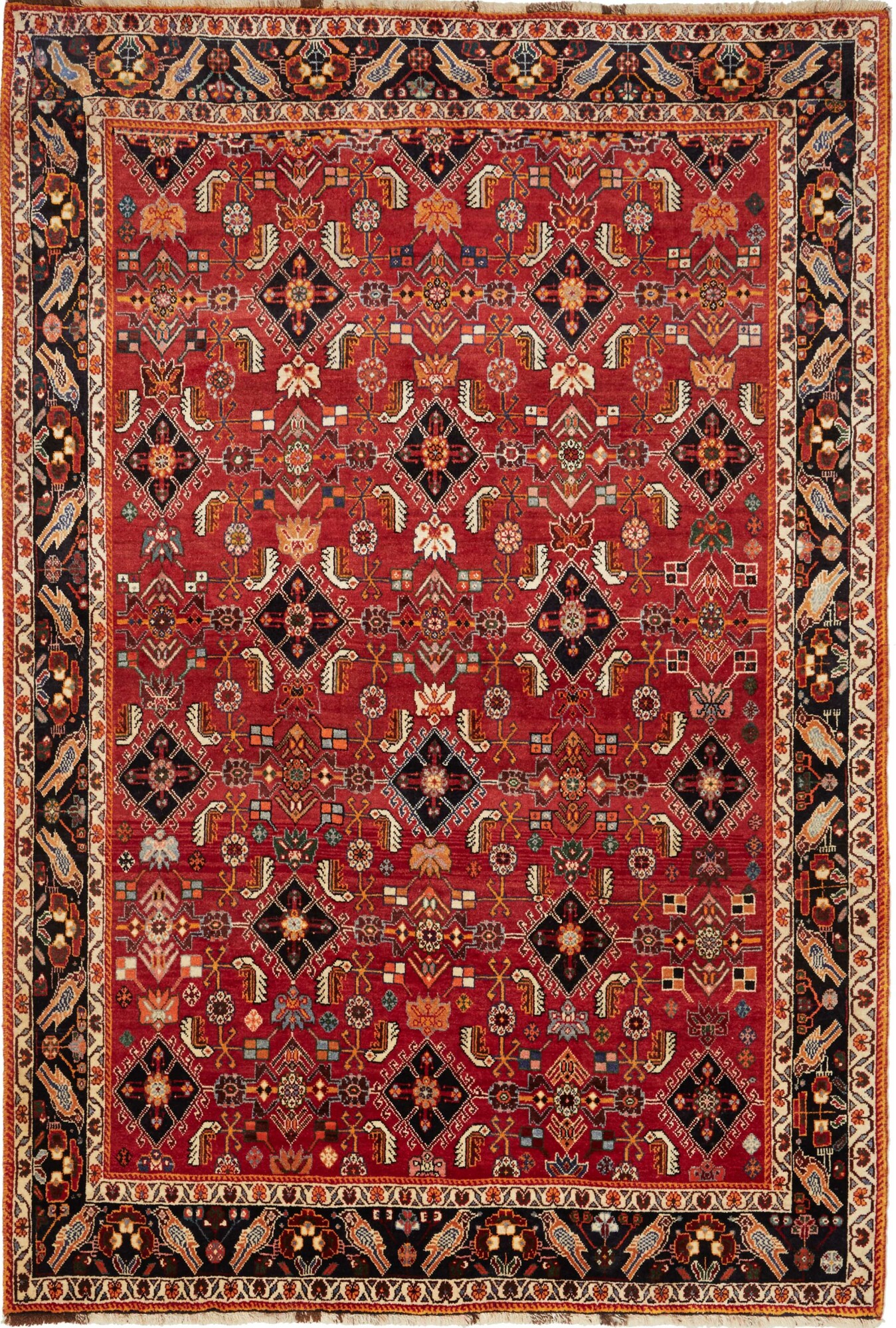 Shiraz 247X168 Cm