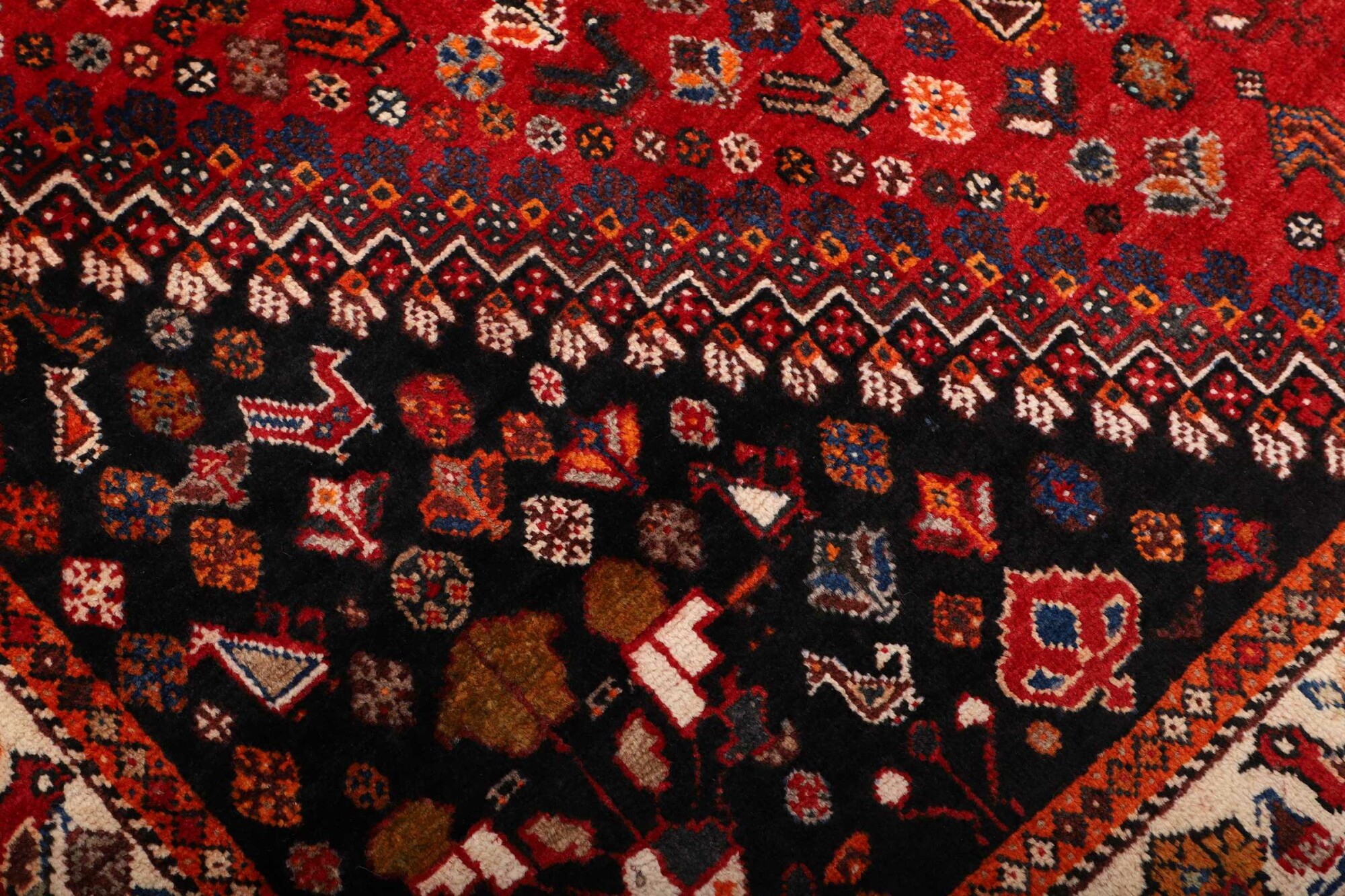Shiraz 254X172 Cm - Image 7