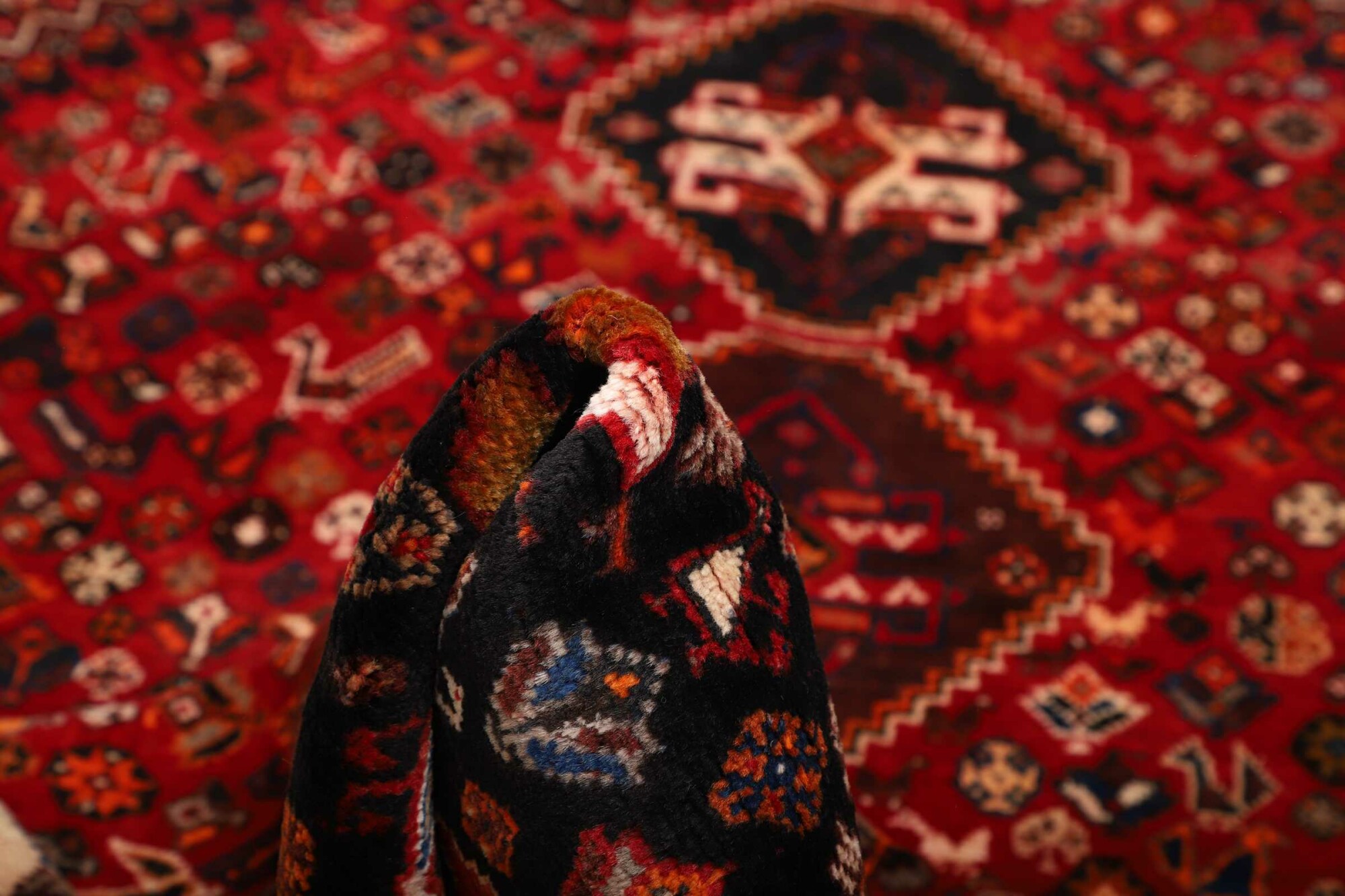 Shiraz 254X172 Cm - Image 9