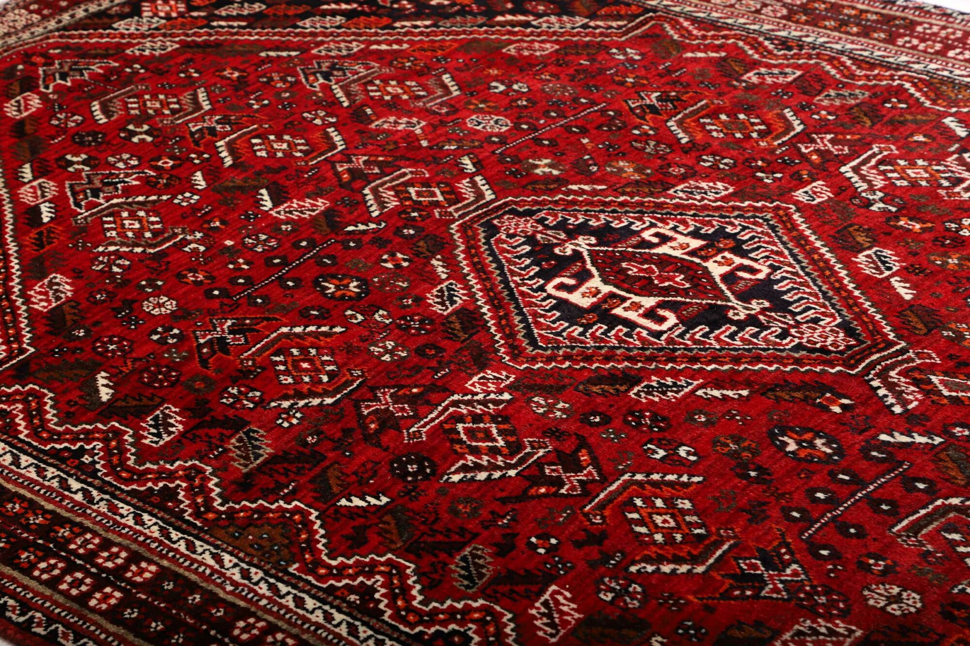 Shiraz 280X178 Cm - Image 7