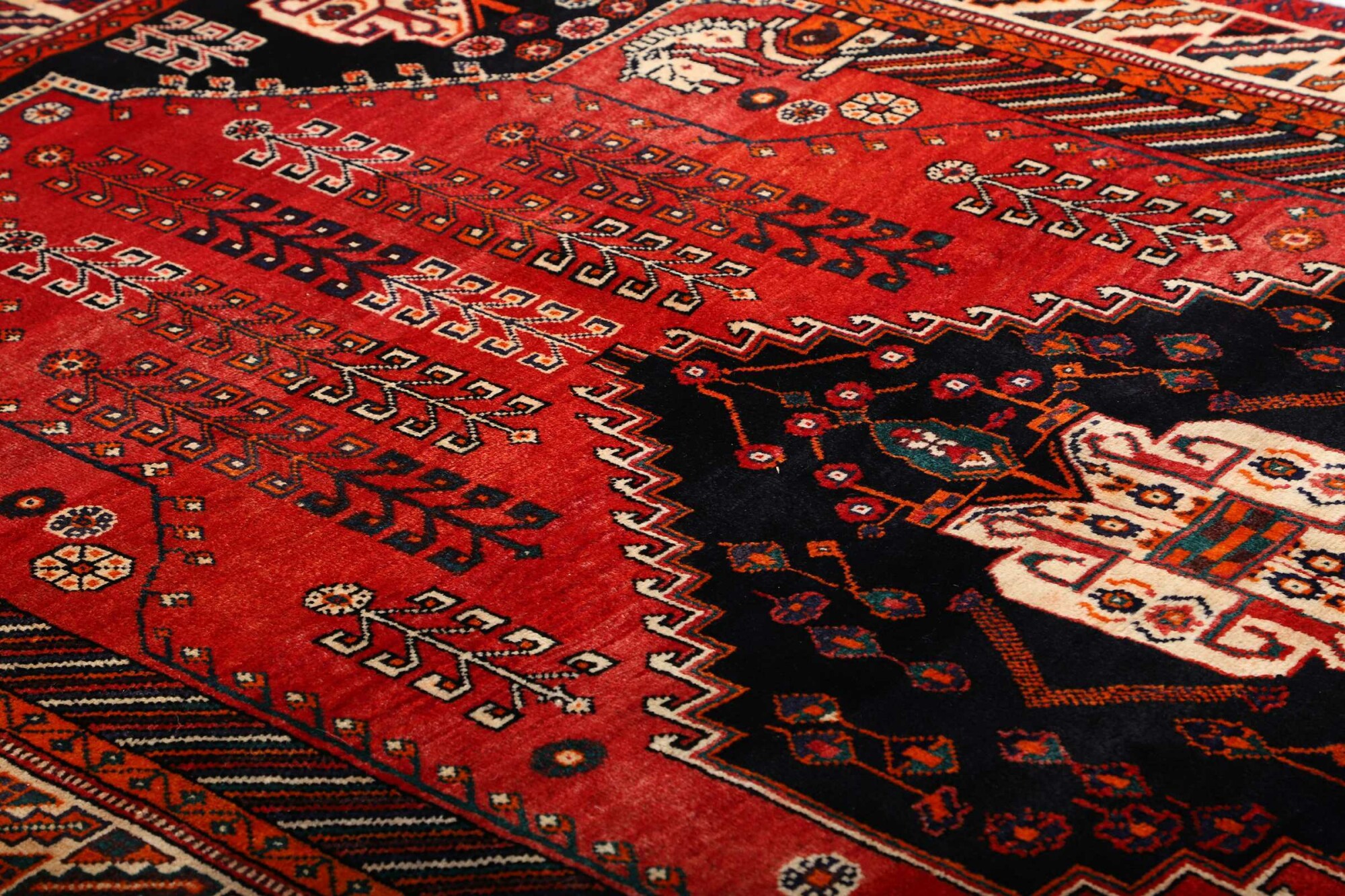 Shiraz 262X153 Cm - Image 7