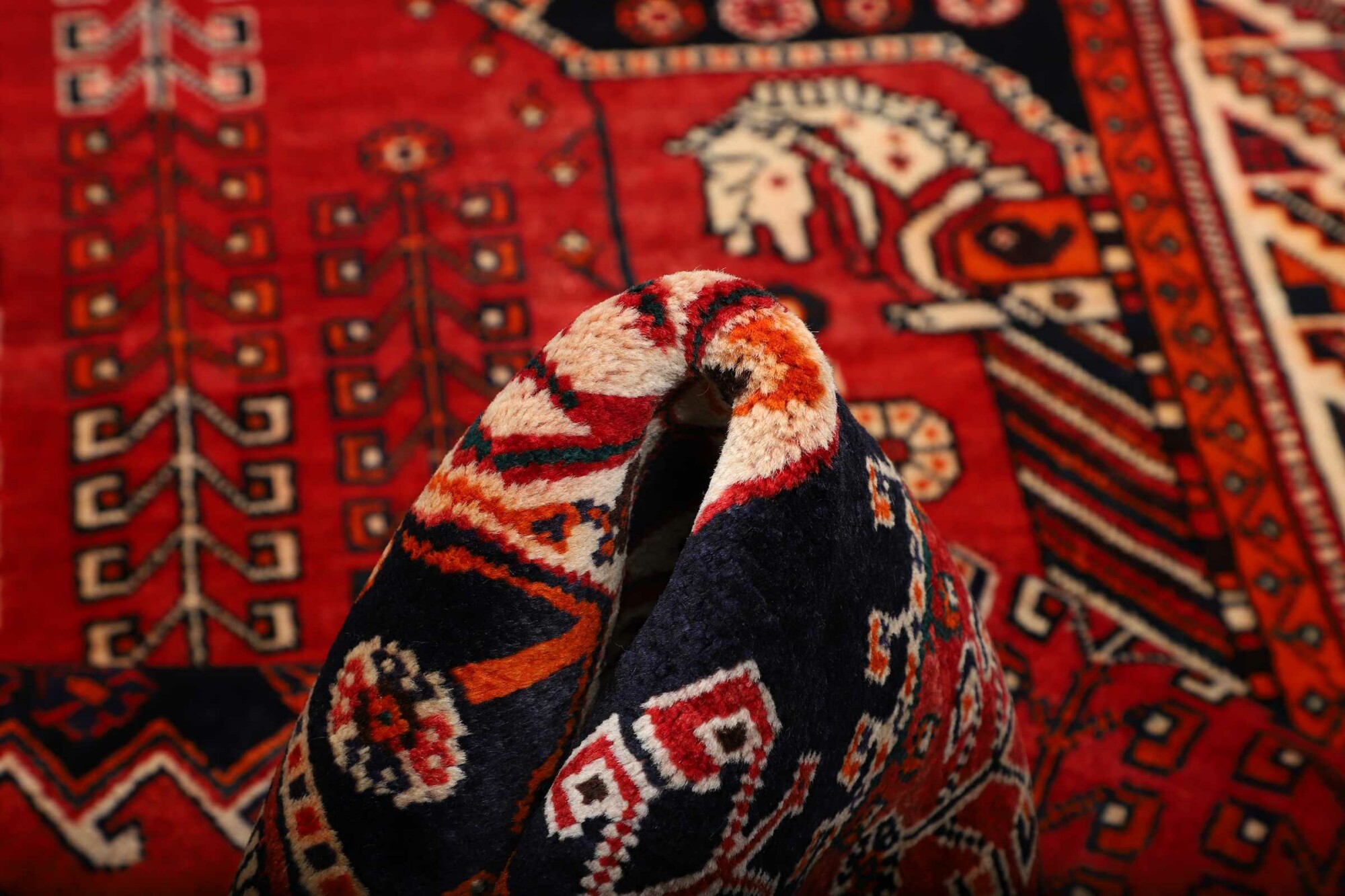 Shiraz 262X153 Cm - Image 8