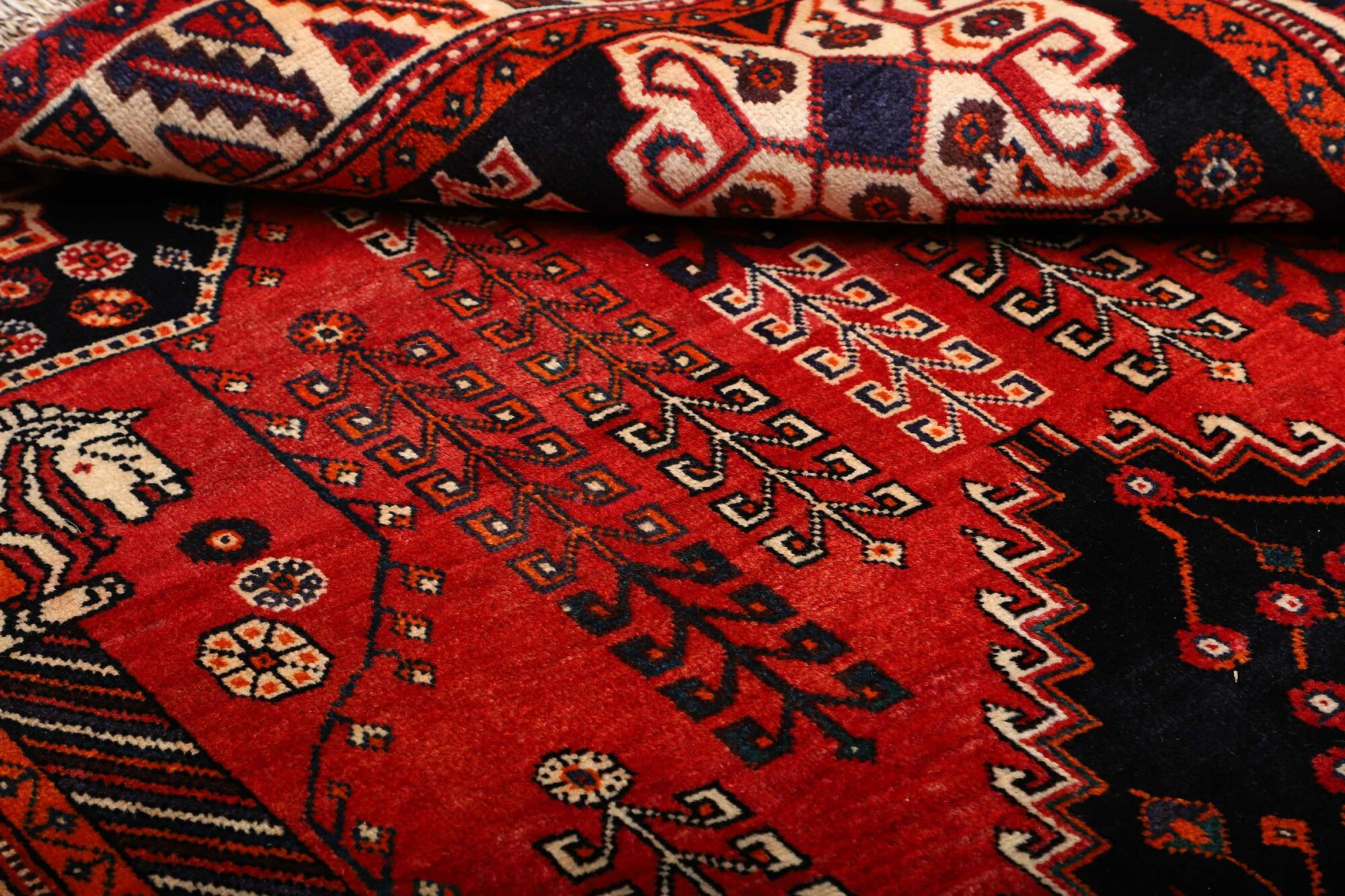 Shiraz 262X153 Cm - Image 9