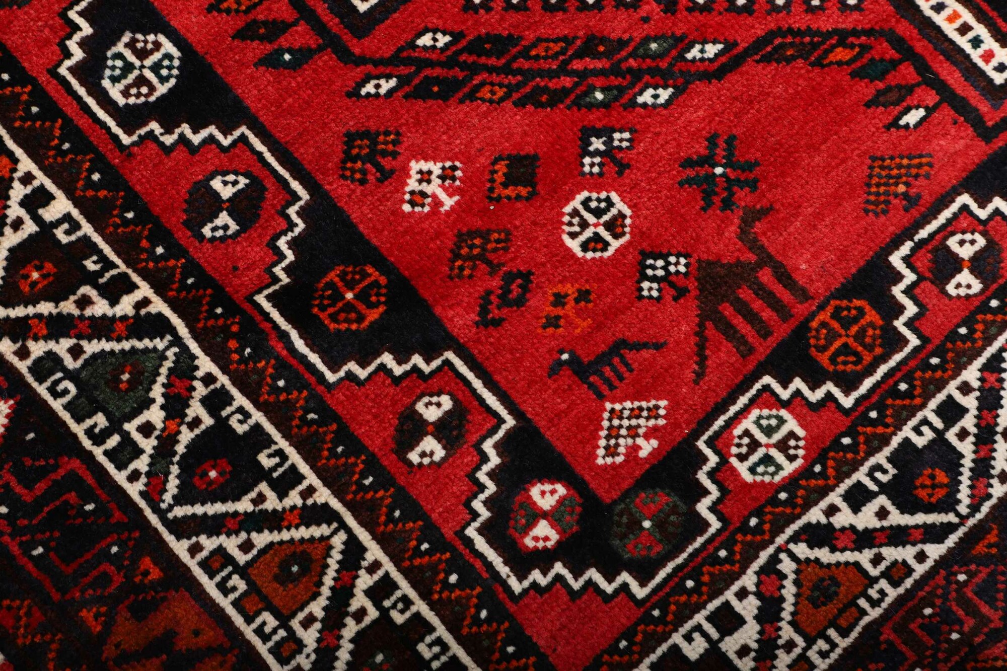 Shiraz 251X171 Cm - Image 6