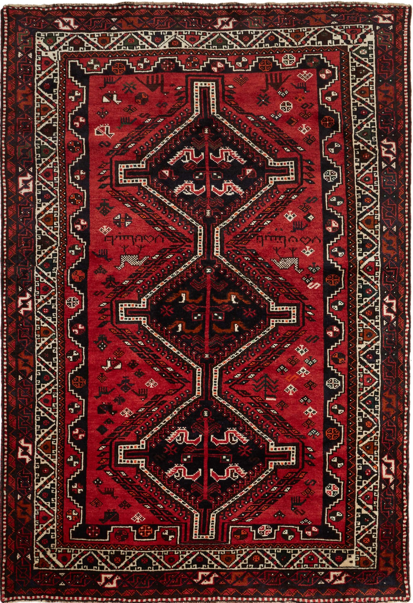 Shiraz 251X171 Cm
