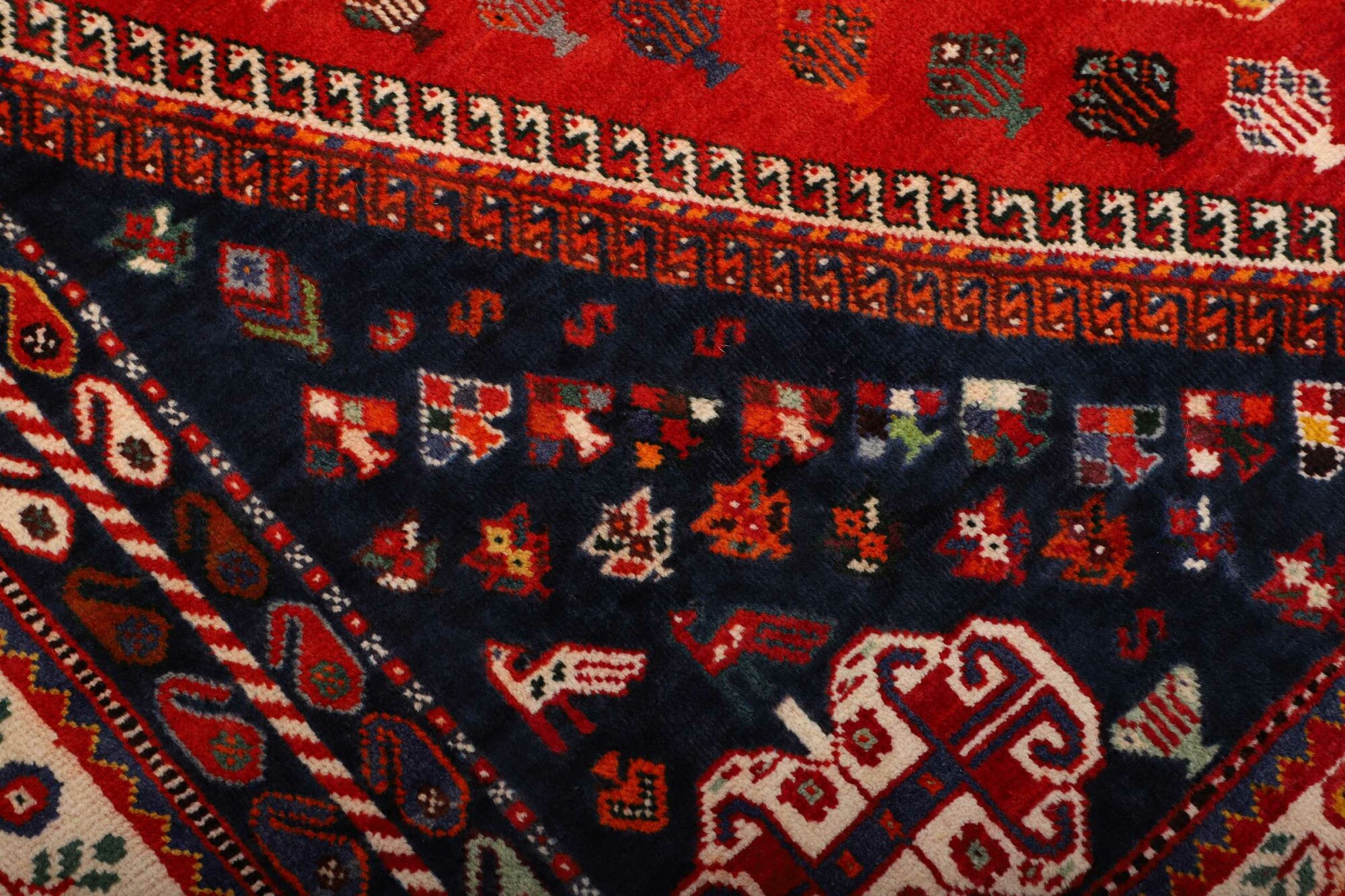 Shiraz 262X170 Cm - Image 6